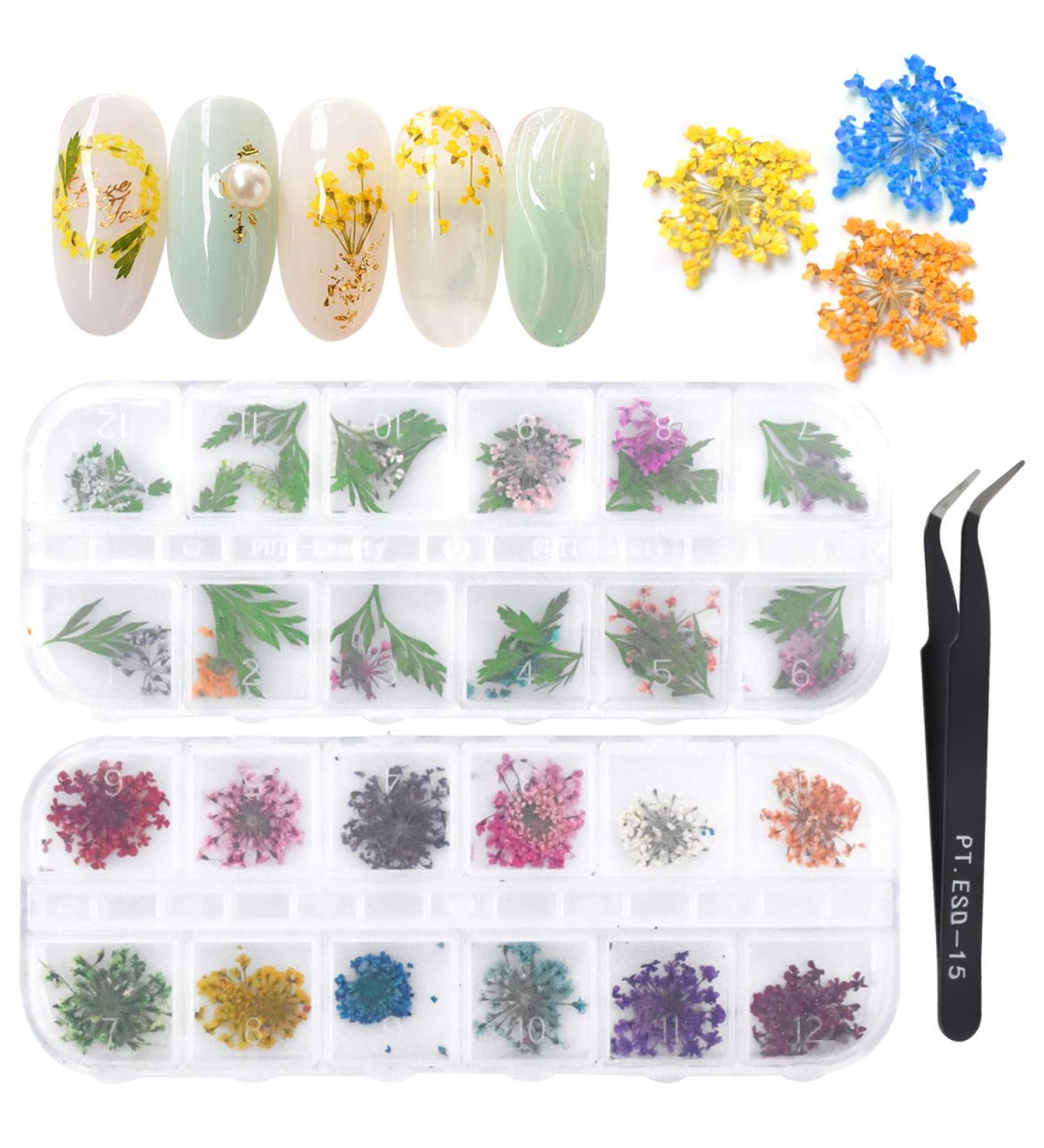 Dokpav 2 Boxes Dried Flowers for Nail Art - 24PC Green Leaves & Real Flower Set with Curved Tweezers | 3D Nail Art Accessories for Stunning Nail Decor - Buy Online on SooperMarket.com