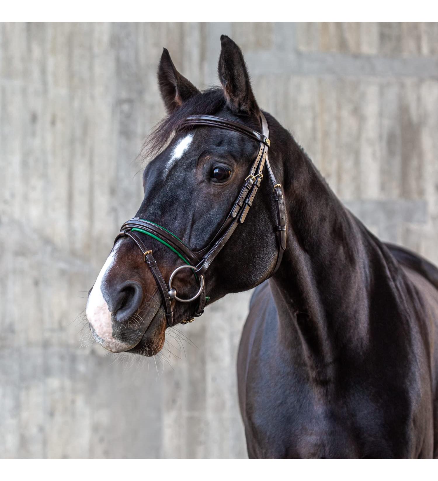 Sunride English Combined Bridle Hawaii with Reins | Adjustable Soft Real Leather | COB Brown/Green - Premium Anatomical Design for Comfort - Buy Online on SooperMarket.com