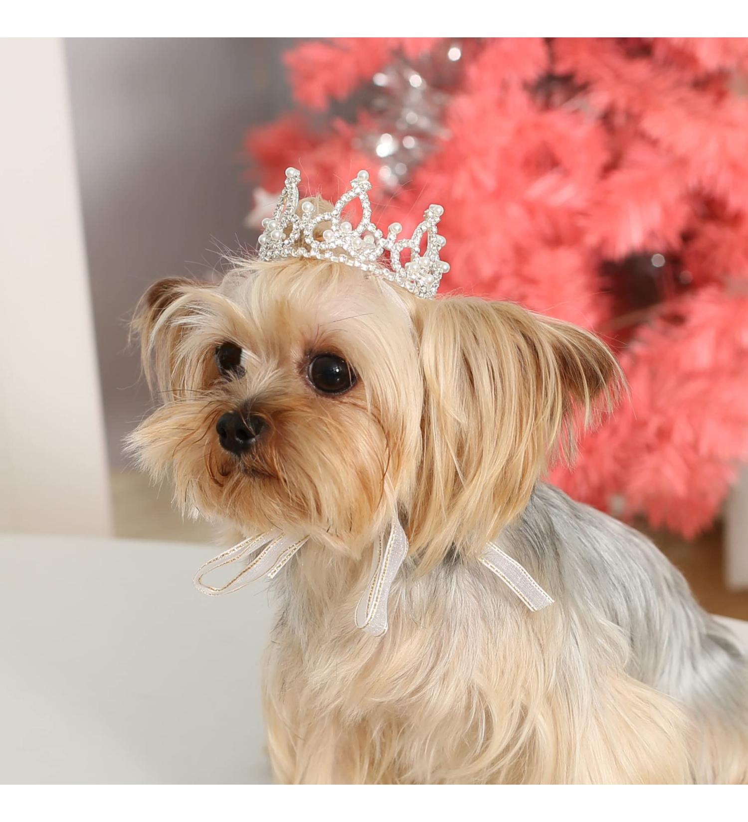 Lovelyshop Royal Tiger Crouncey Diamond Pearls - X Small Silver Crown for Dogs & Cats | Stylish Hair Accessories - Buy Online on SooperMarket.com