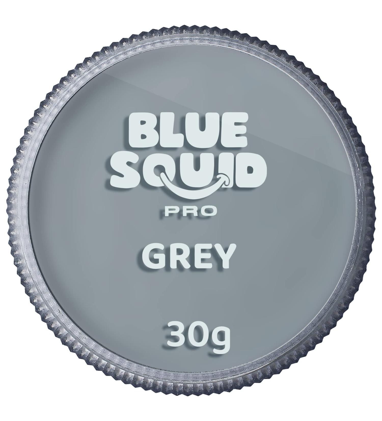 Blue Squid PRO Face Paint - Classic Grey 30g - Water Activated Professional Face & Body Paint for Adults & Kids - Halloween SFX Makeup - Buy Online on SooperMarket.com