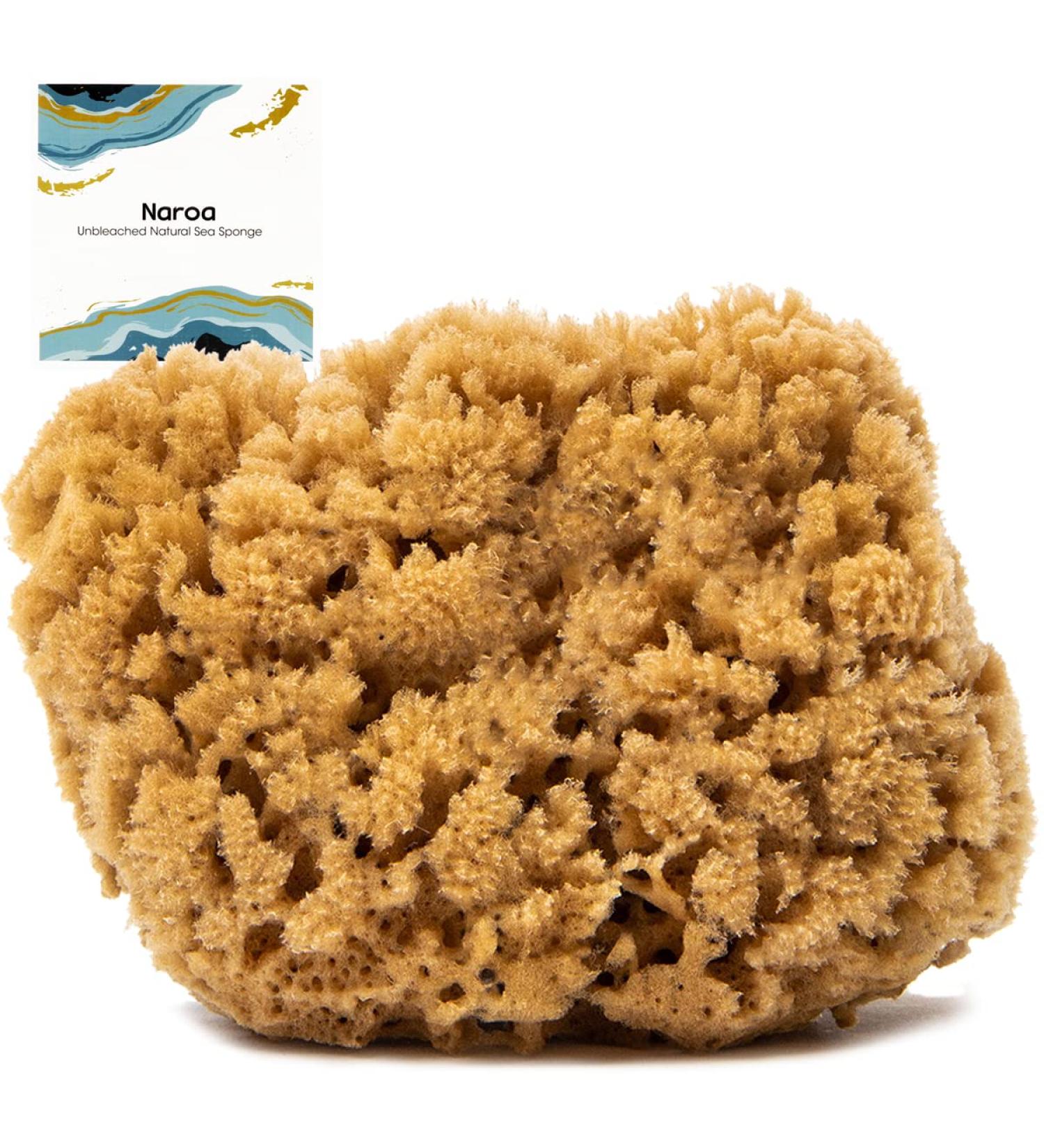 Naroa Natural Sea Sponge for Bathing | Firm Exfoliating Body Scrubber | Eco-Friendly & Renewable | Medium Size | Men & Women - Buy Online on SooperMarket.com