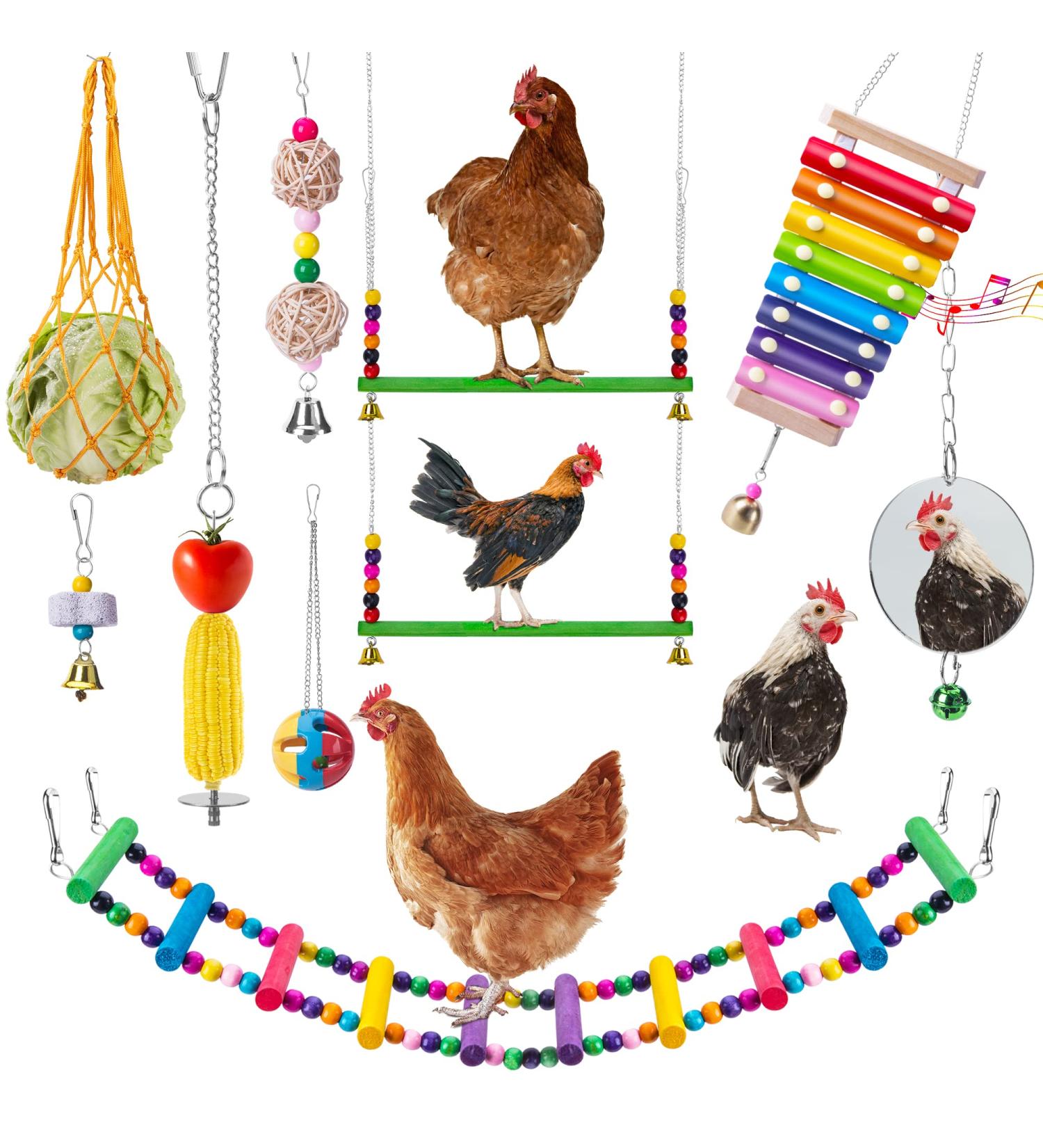 10PCS Chicken Toys: Xylophone, Bridge Swing, Pecking, Mirror, Vegetable Feeder for Hens - Buy Online on SooperMarket.com