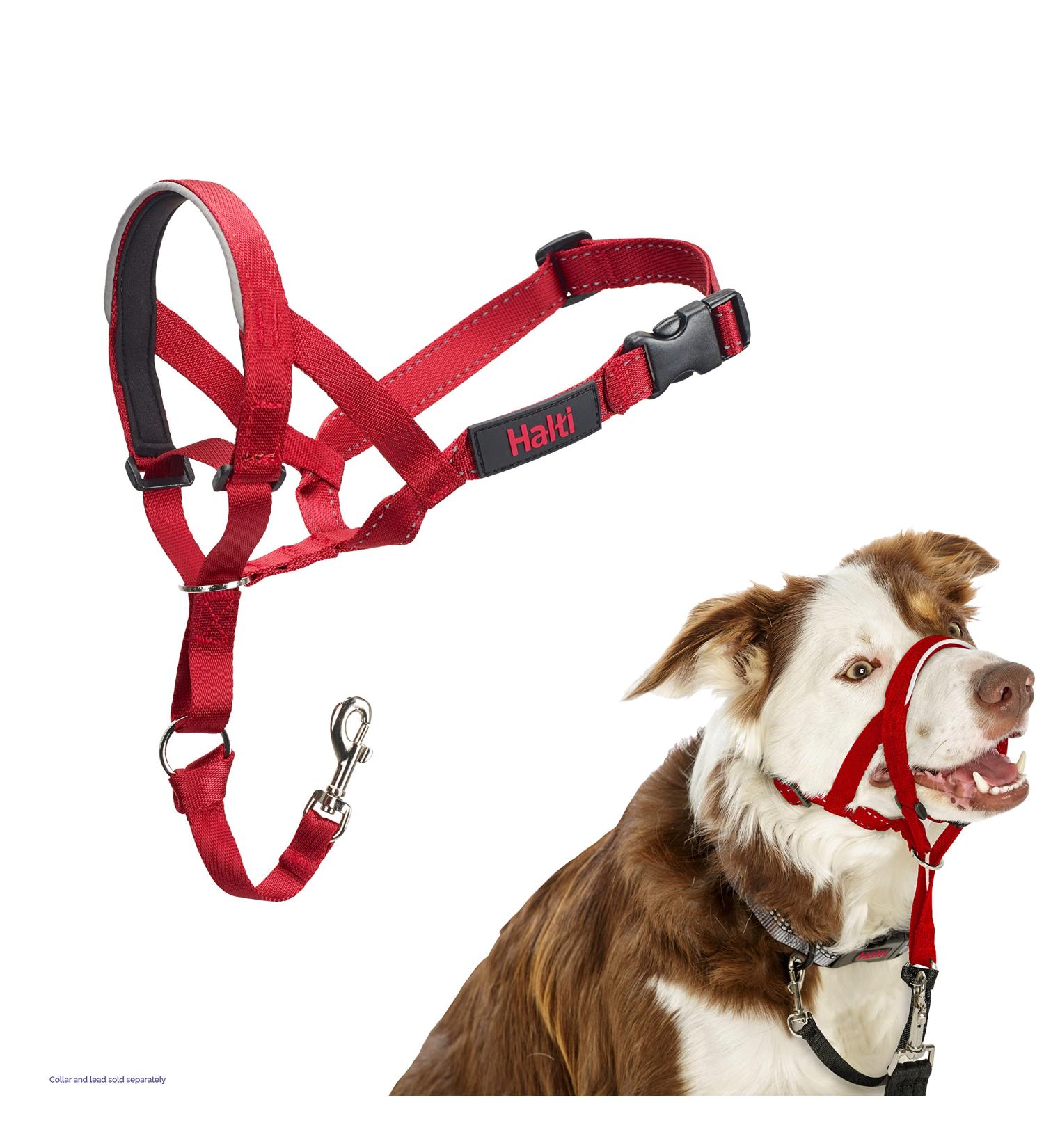 Halti Head Harness for Medium Dogs - No-Pull Leash Solution Adjustable & Comfortable Red Design - Buy Online on SooperMarket.com