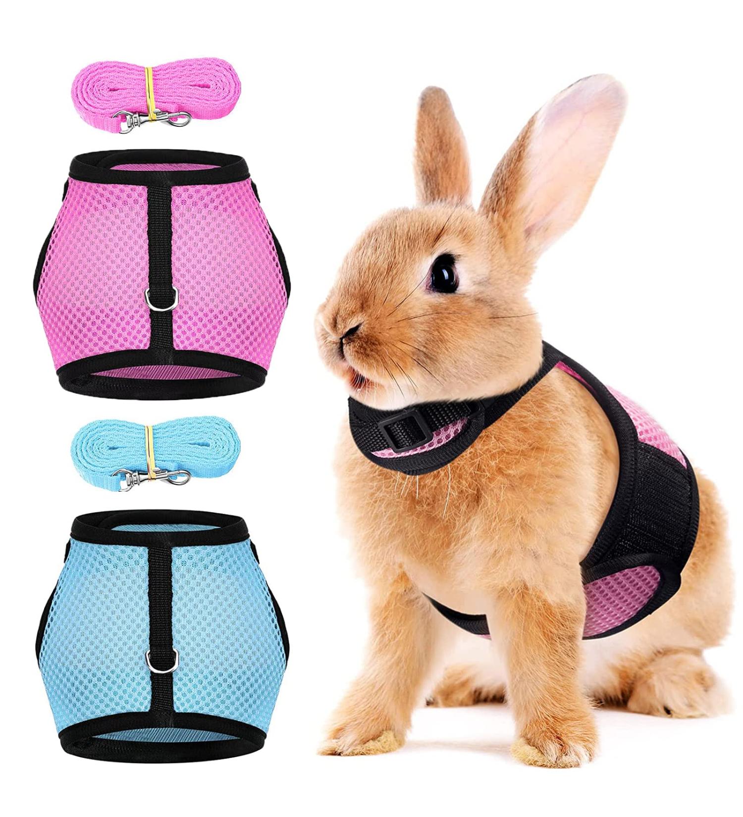 Adjustable Soft Rabbit Dishes & Mesh Harness - Outdoor Care for Small Pets (M Blue Pink) - Buy Online on SooperMarket.com
