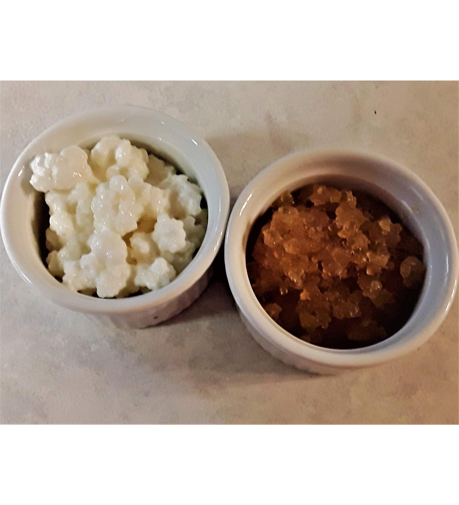 Poseymom Kefir Duo Water And Milk Kefir