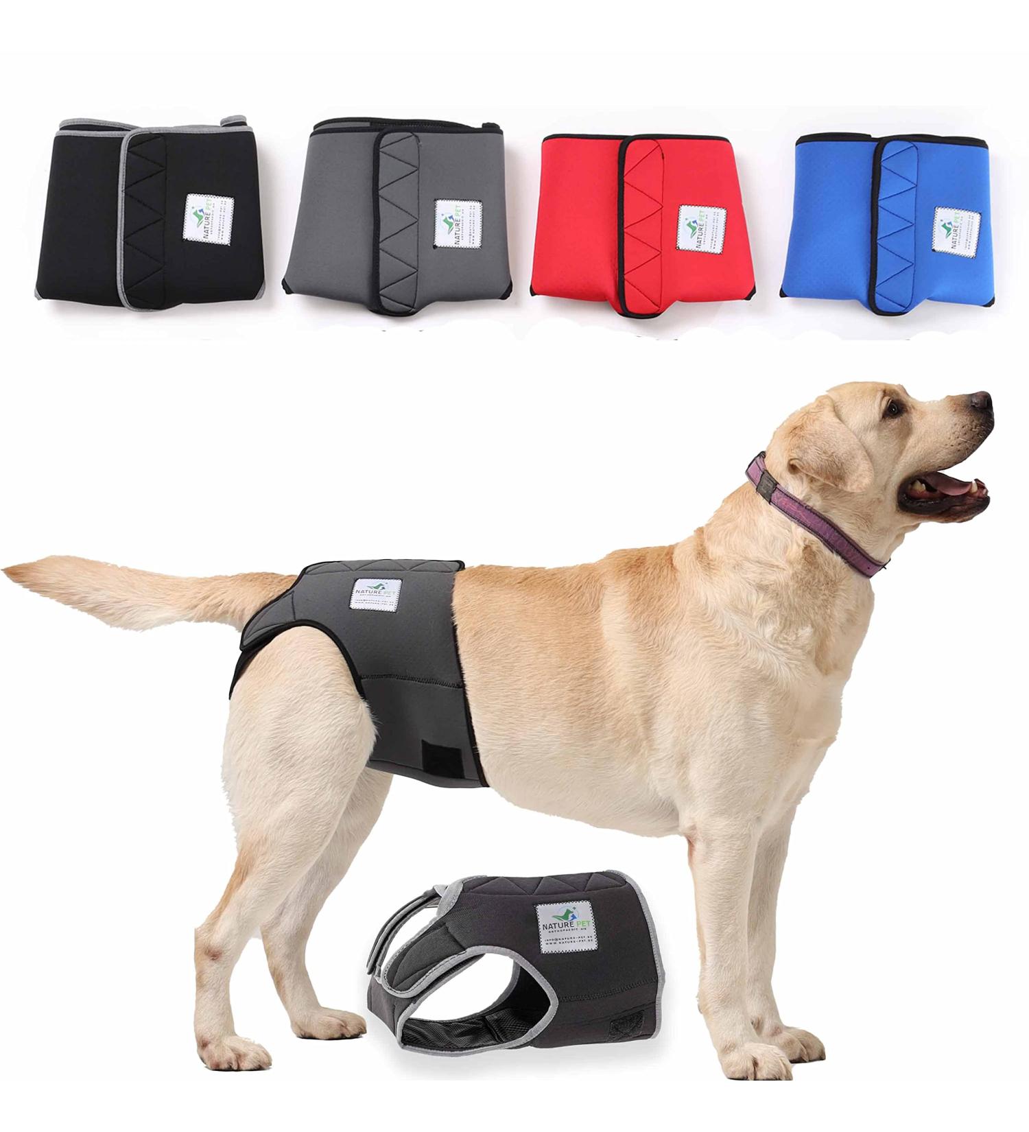 Sailing Trousers 2.0 - Premium Neoprene Dog Diapers for Males - No Threading Optimal Airflow - Size L Blue - Buy Online on SooperMarket.com