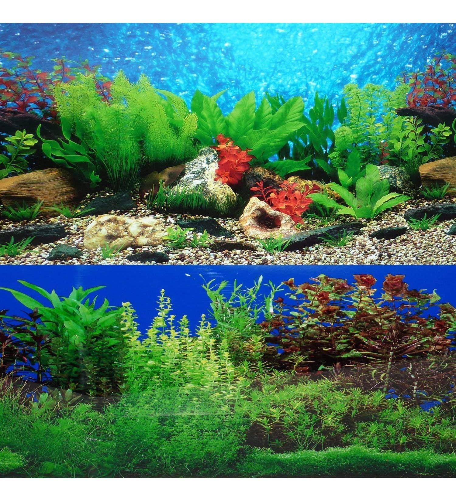 ELEBOX 20x48 Fish Tank Background - 2 Sided River Bed & Lake Aquarium Decor - H 19.5 x L 48 - Premium Quality - Buy Online on SooperMarket.com
