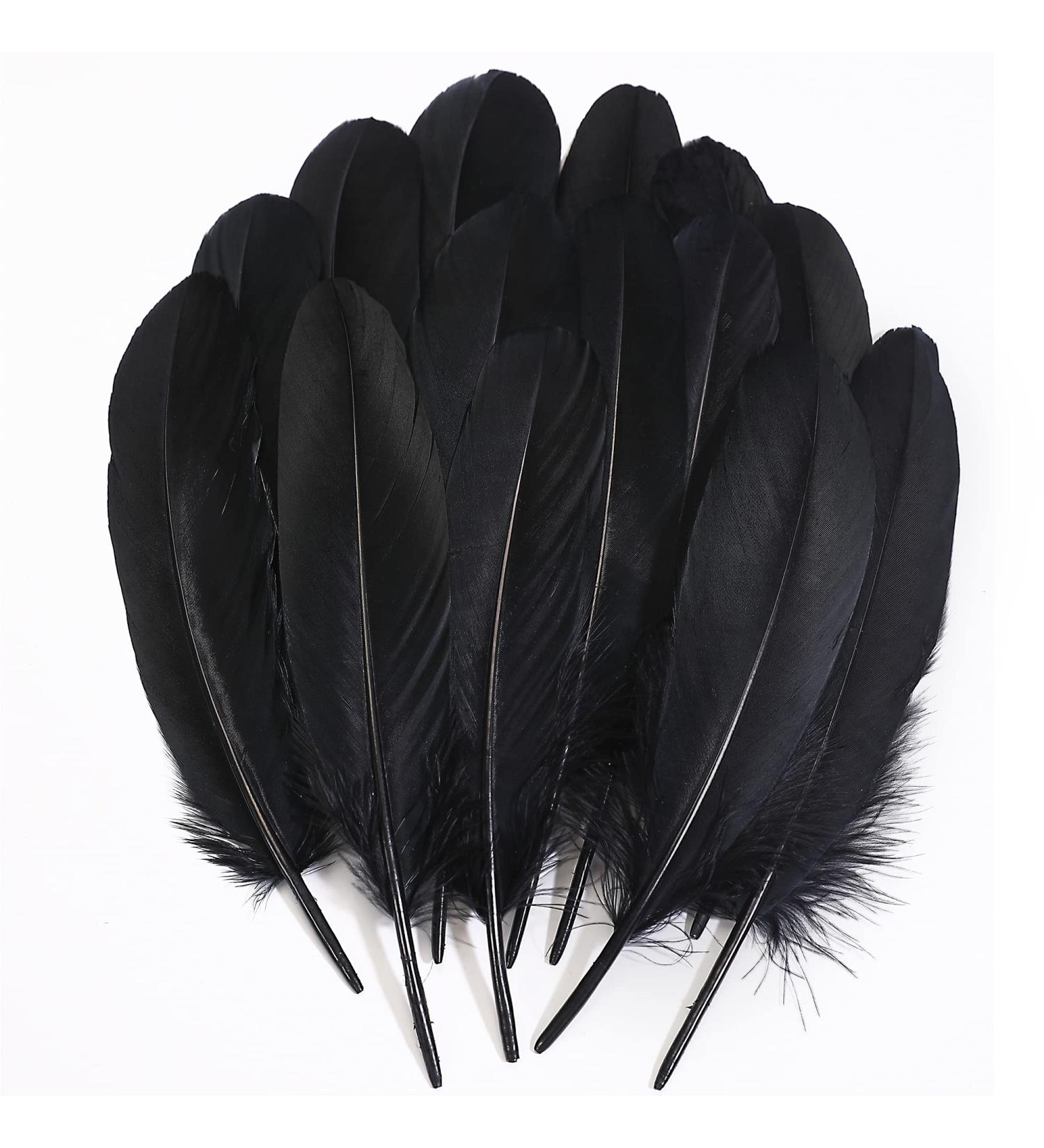 Ballinger Black Craft Feathers Bulk - 120Pcs 6-8 Inch Real Goose Feathers for DIY Halloween Decor, Jewelry, Cosplay & Clothing - Buy Online on SooperMarket.com