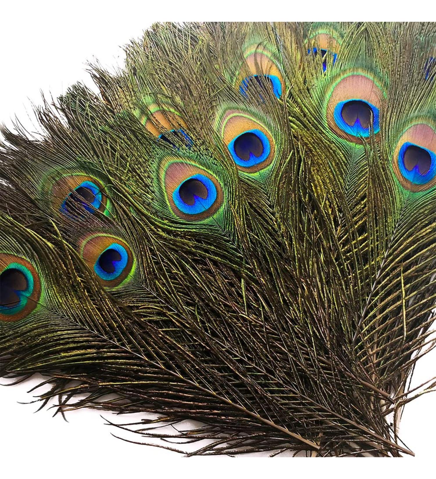 Piokio 10-12 Inch Natural Peacock Feathers Bulk - 50pcs for DIY Craft, Wedding, Mardi Gras Decor - Buy Online on SooperMarket.com