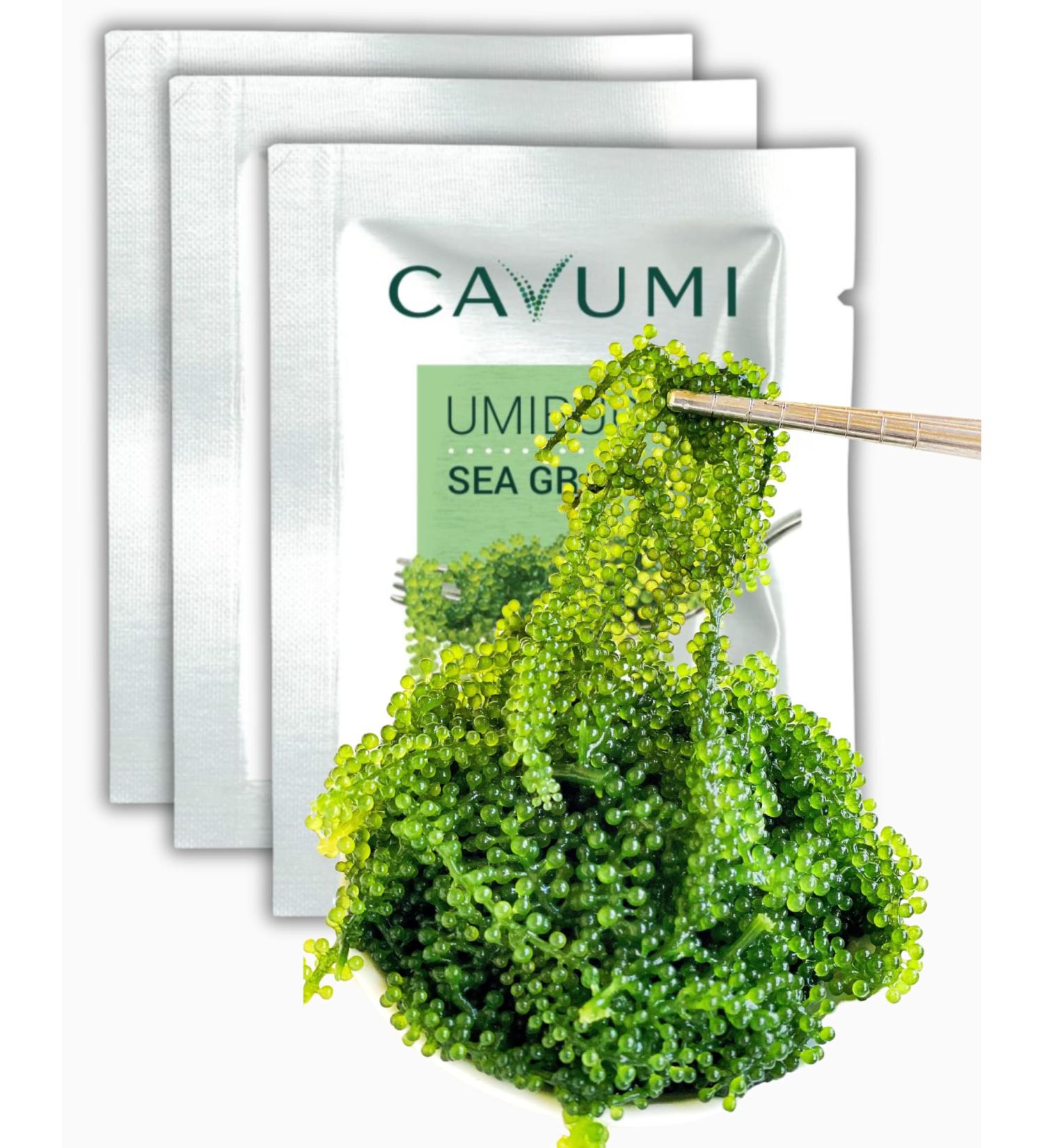 Buy CAVUMI Sea Grapes 3x20g - Crunchy Seaweed Snack | Umibudo Green Caviar Delight - International Shipping Available - Buy Online on SooperMarket.com