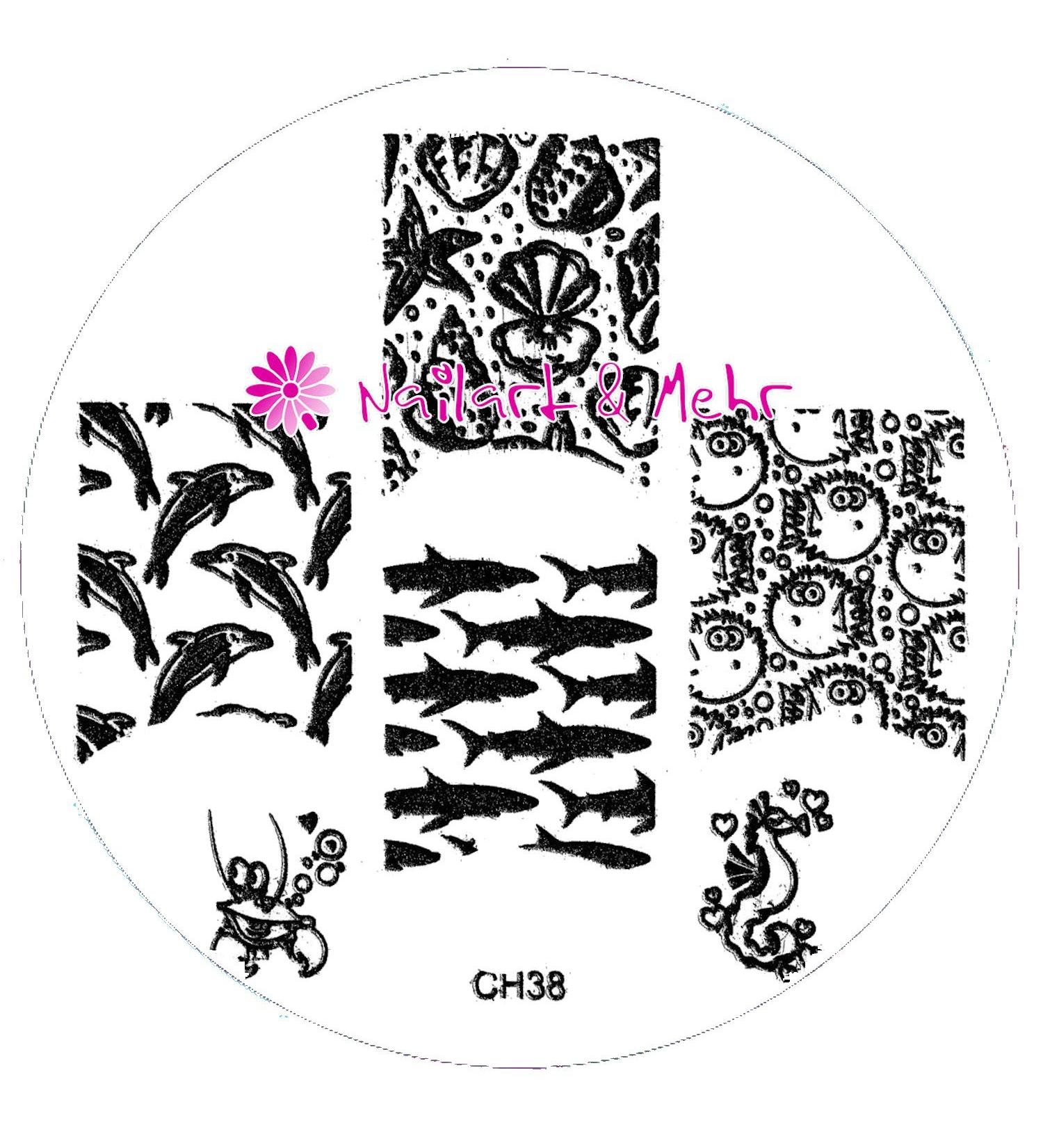 STAMPING STENCIL # CH-38 FISH SHELLS DOLPHINS SEAHORSE CRAB