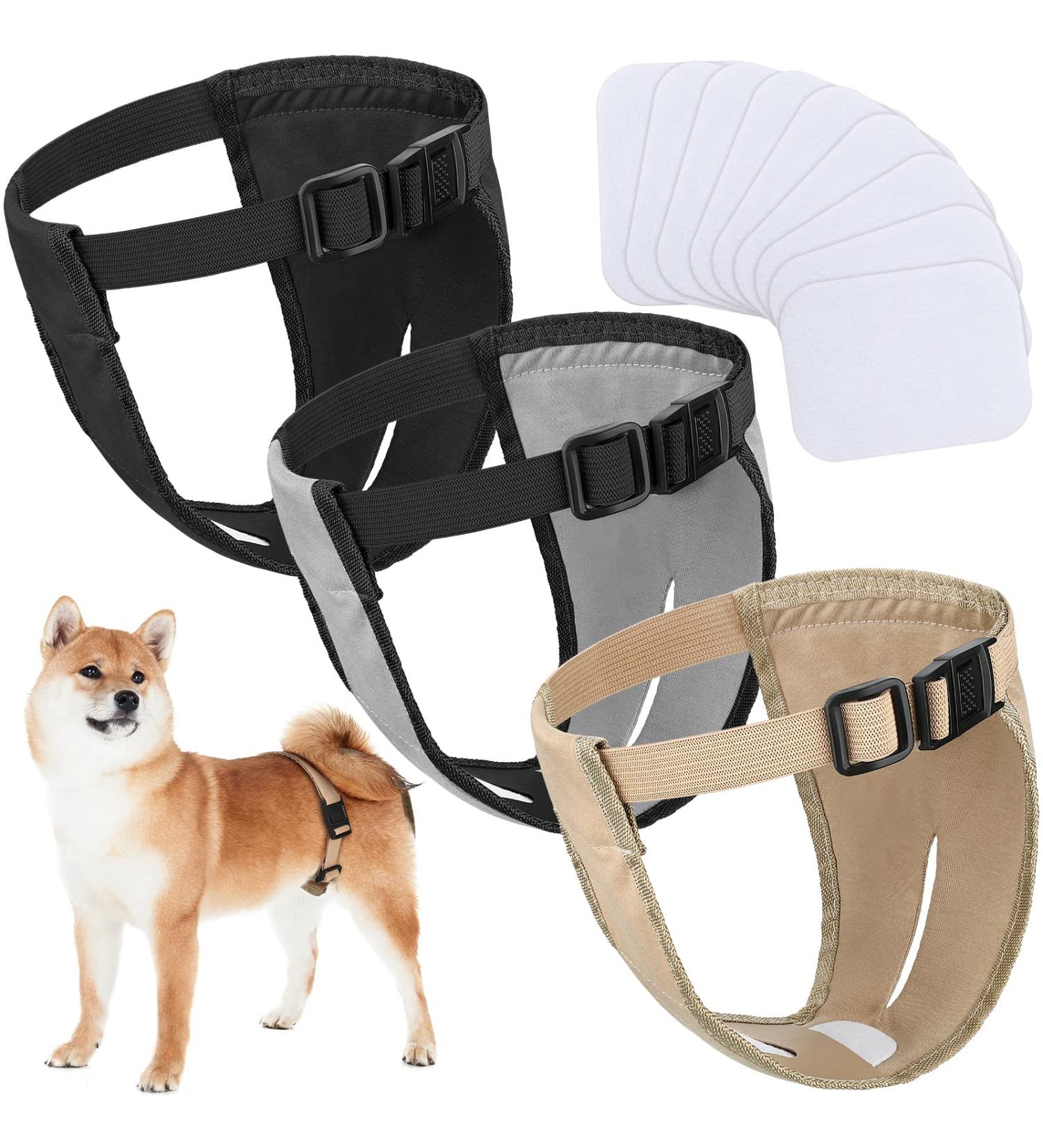 3-Pack Dog Diapers & Trousers for Bitches - Adjustable Washable Monthly Heat Protection - Buy Online on SooperMarket.com