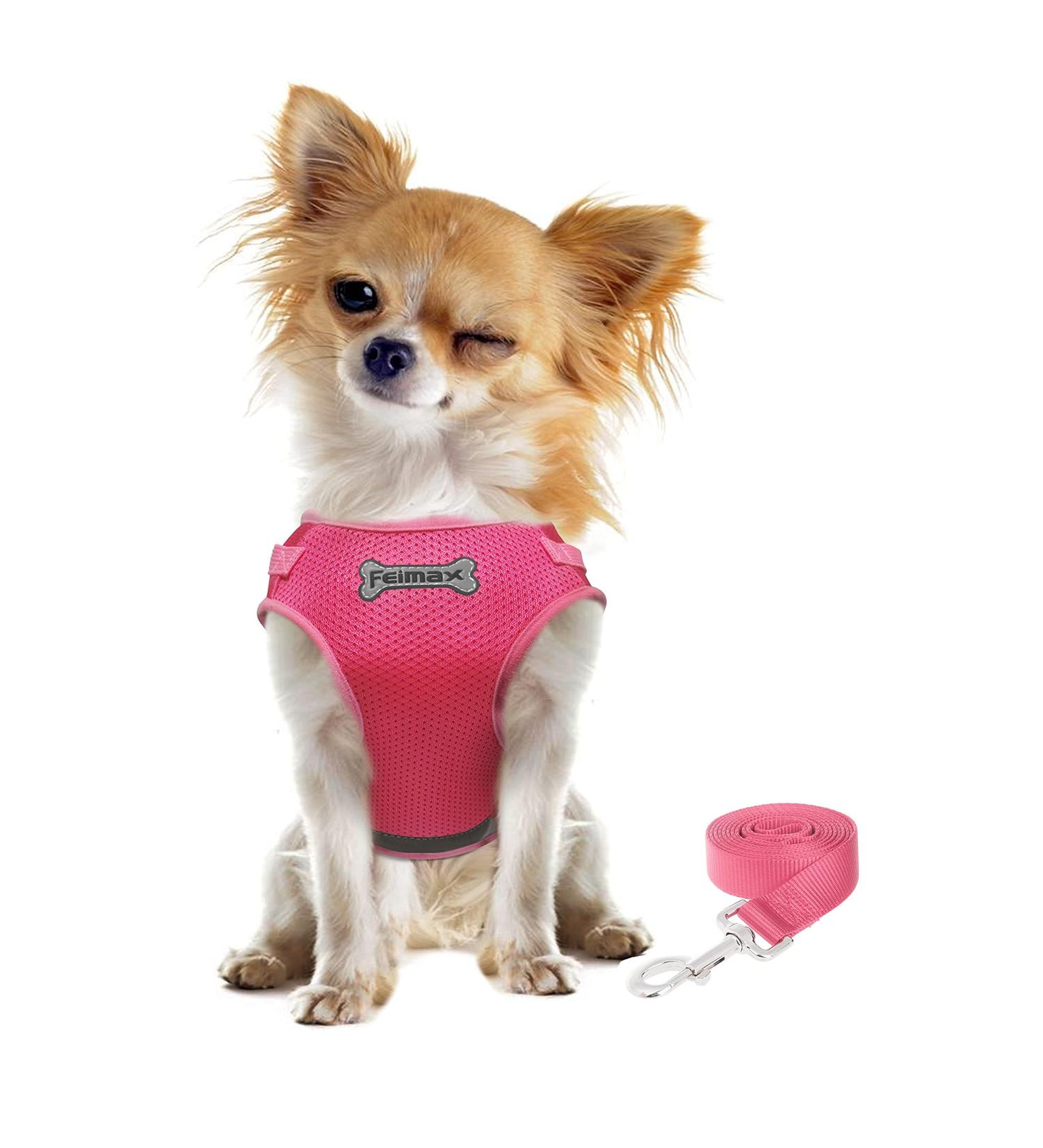 FEimaX Escape Proof Cat Harness and Leash Set - Adjustable Soft Mesh Vest for Outdoor Walking - Reflective Small Dog Cat Harness in Rose Pink - Size S (Chest Girth 10'' - 12'') - Buy Online on SooperMarket.com