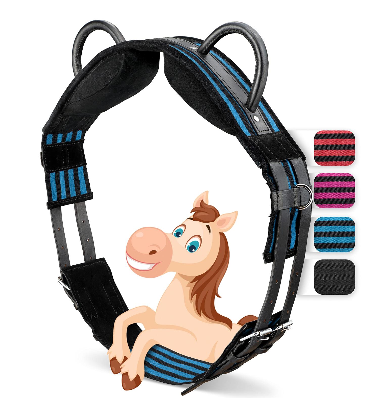Esposita Riding Strap with Leather Handles | Versatile Lunging & Vaulting Belt | Blue-Black Wooden Horse Accessory - Buy Online on SooperMarket.com