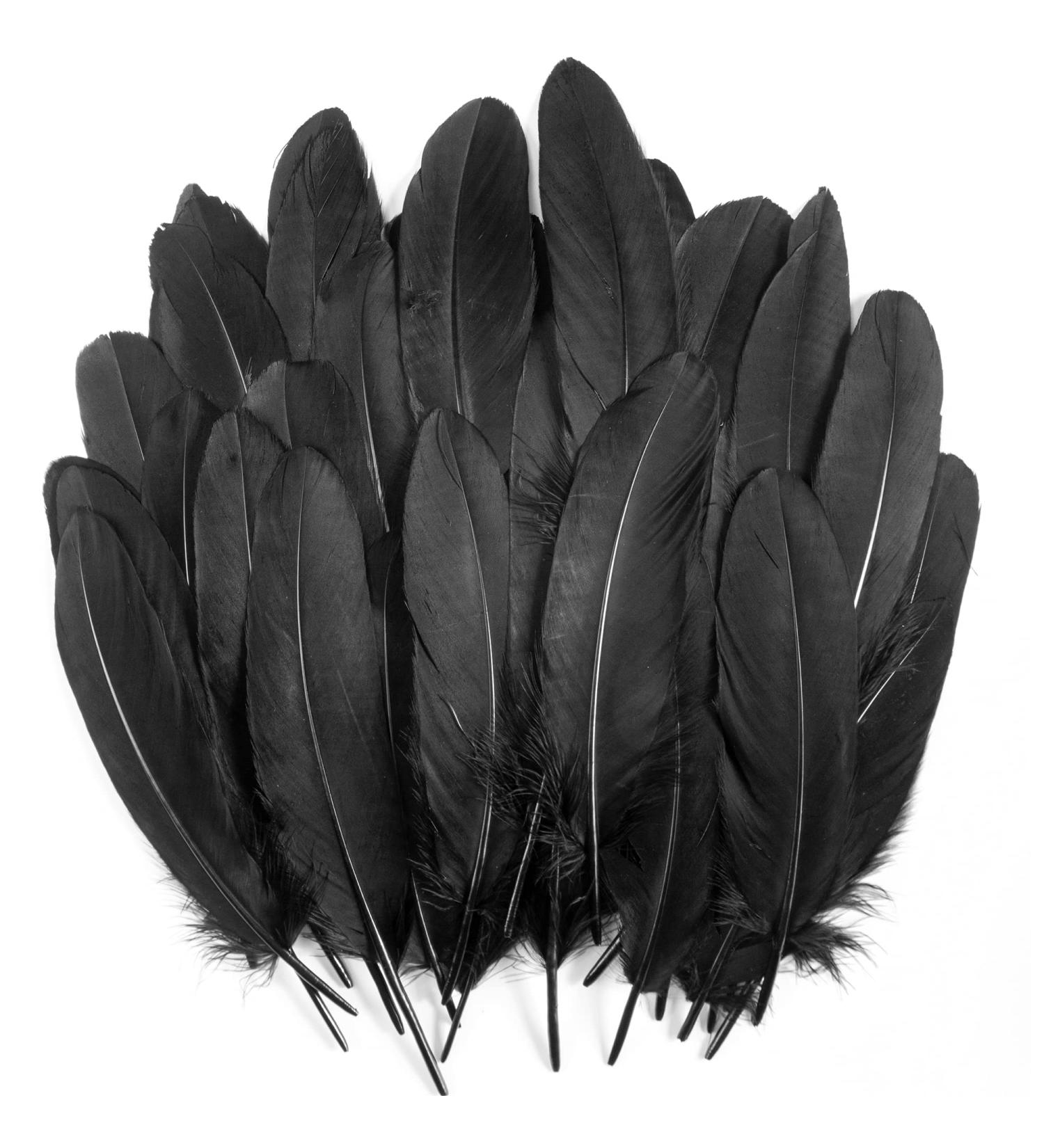 120Pcs 6-8 Inch Black Goose Feathers for DIY Halloween Decor, Cosplay & Crafts - Buy Online on SooperMarket.com