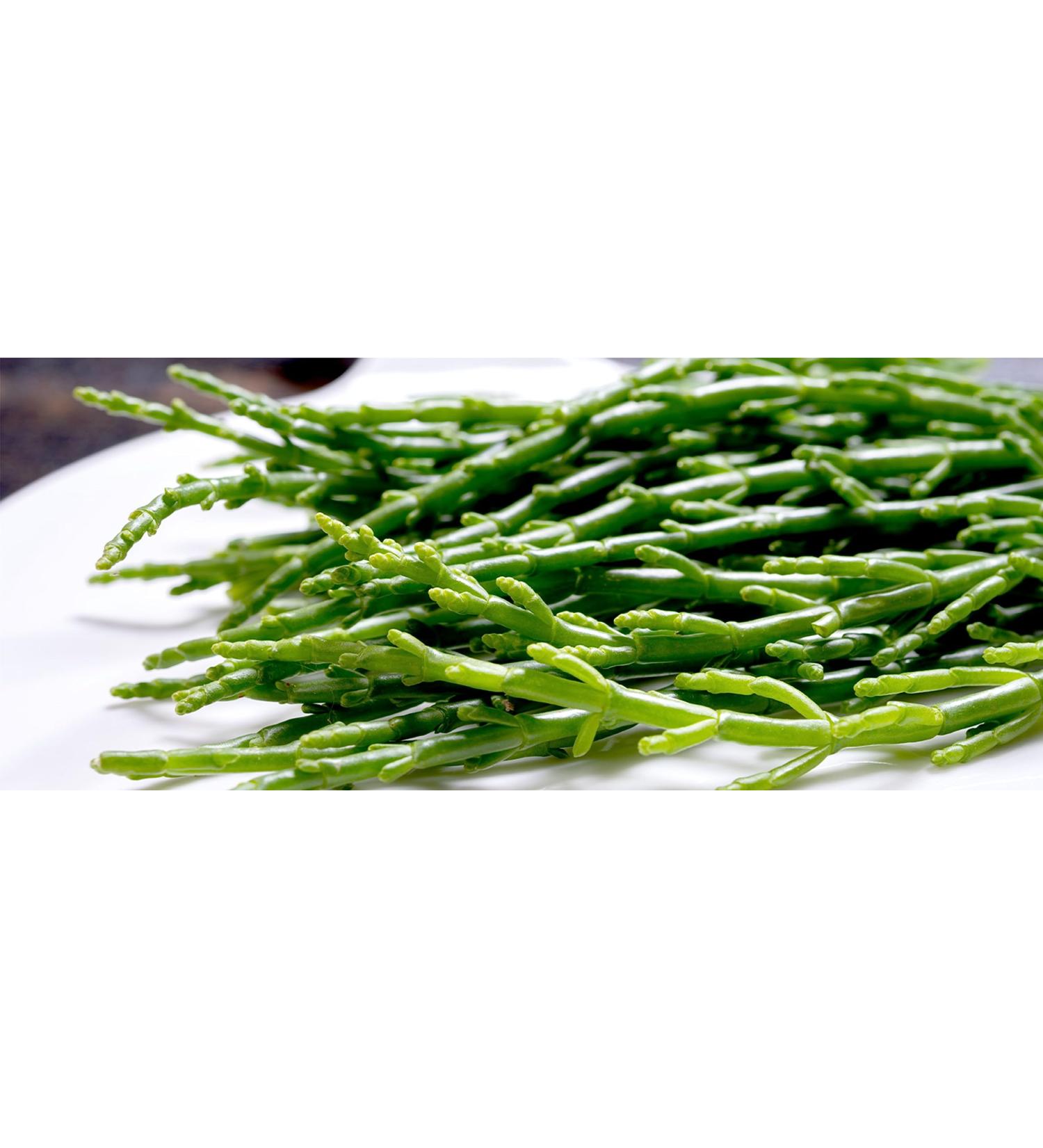 Samphire/Salicornia (100g x2) Ideal for salads steaks fish dishes and much more. it's delicious and unique. - Buy Online on SooperMarket.com