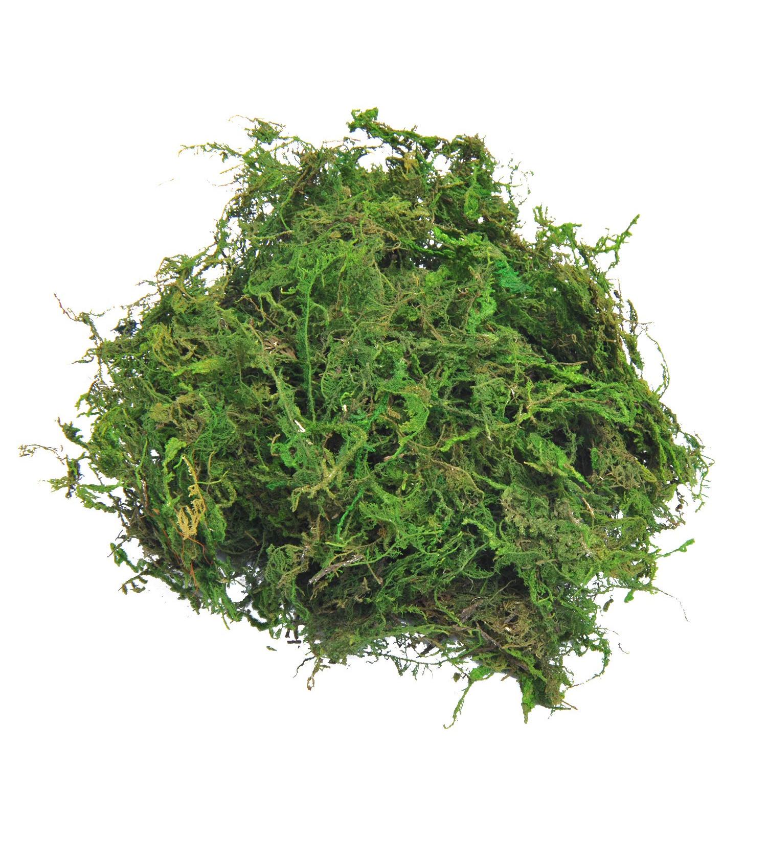 Topcomww Artificial Green Moss for Plant Crafts & Flower Centerpieces - 3.5oz - Buy Online on SooperMarket.com