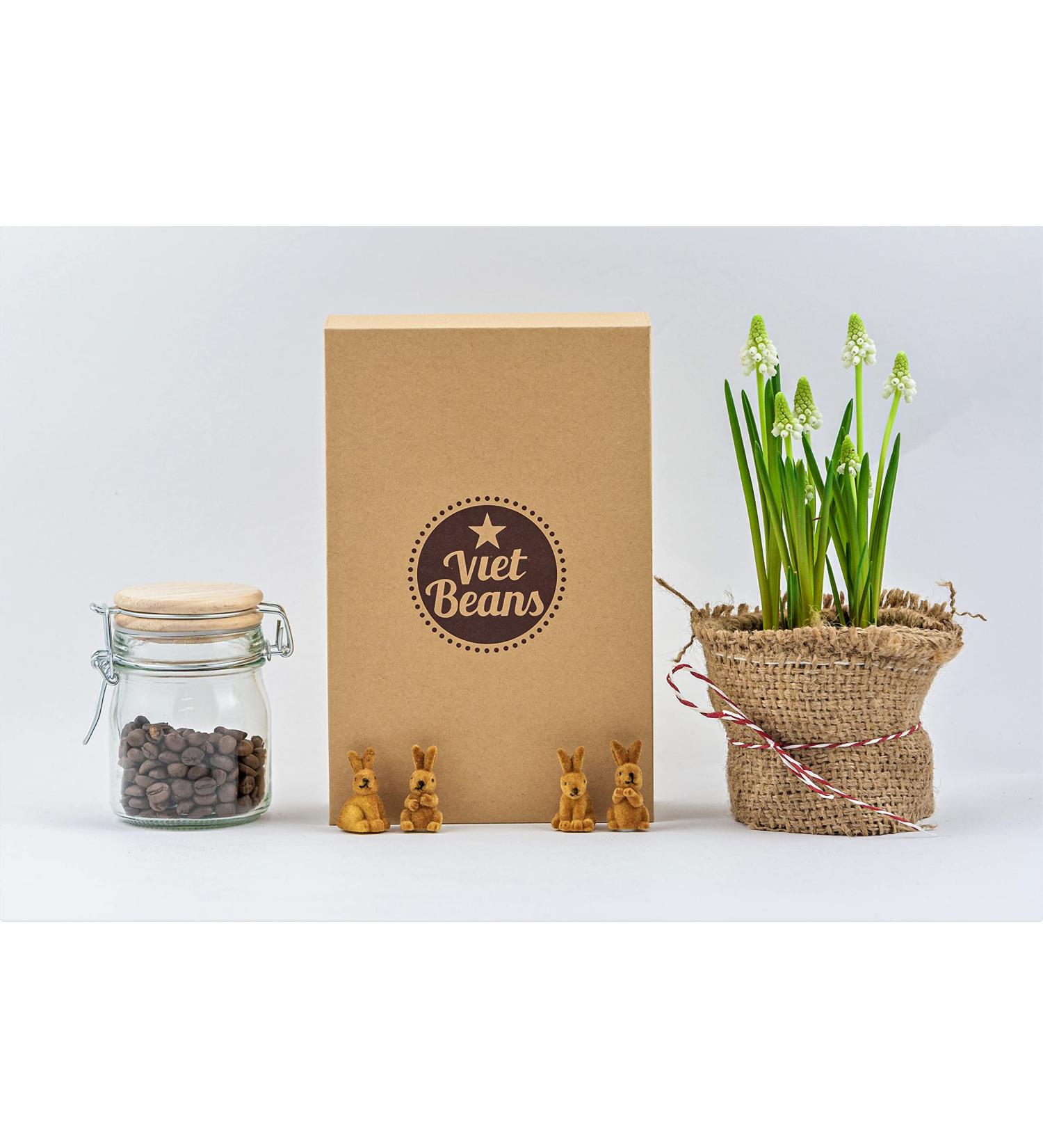 Vietbeans Coffee Gift Set - Try 4 Exciting Whole Bean Varieties | Perfect Gift for Coffee Lovers - 320g - Buy Online on SooperMarket.com