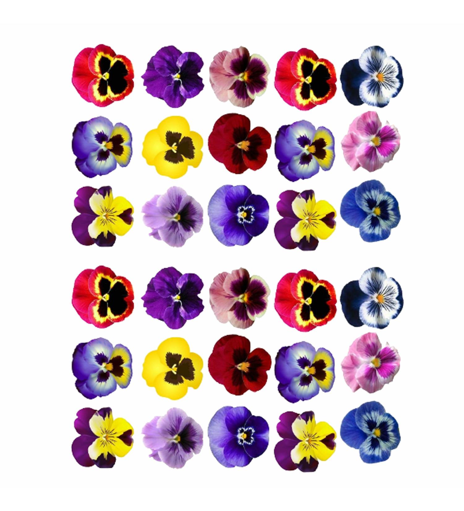 30 x Pre-Cut Edible Pansy Flower Cake Toppers - Wafer Rice Paper Vibrant Colors Perfect for Stunning Cake Decorations. Pansy flower cake decorations and cupcake toppers. 30pc pansies on a sheet.