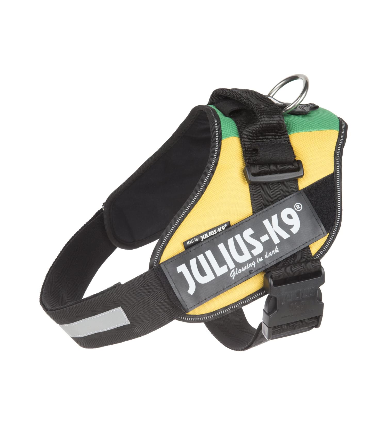 Shop IDC Powerharness XL/2 in Vibrant Lithuanian Colors | International Shipping Available - Buy Online on SooperMarket.com