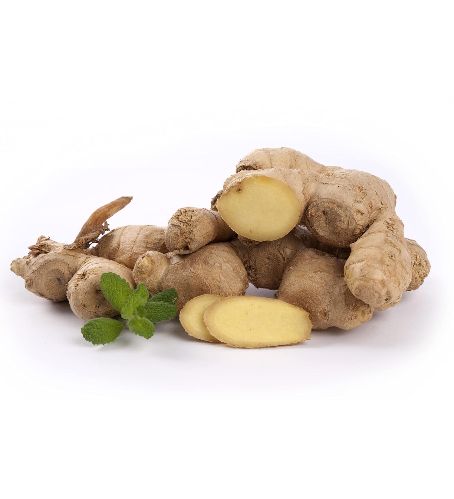 Quast Horseradish 2nd Class Fresh Ginger | Ideal for tea or as feed for horses | Small roots ( 50 g)