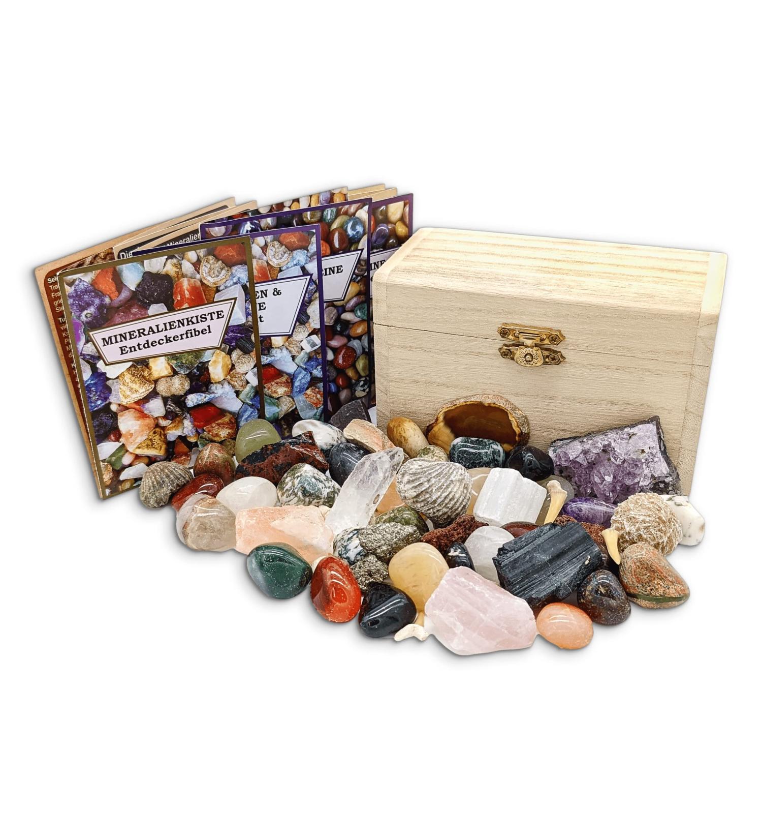 Rokkolino Treasure Chest: Real Minerals Gemstones & Fossils - Discover Nature's Treasures - Buy Online on SooperMarket.com