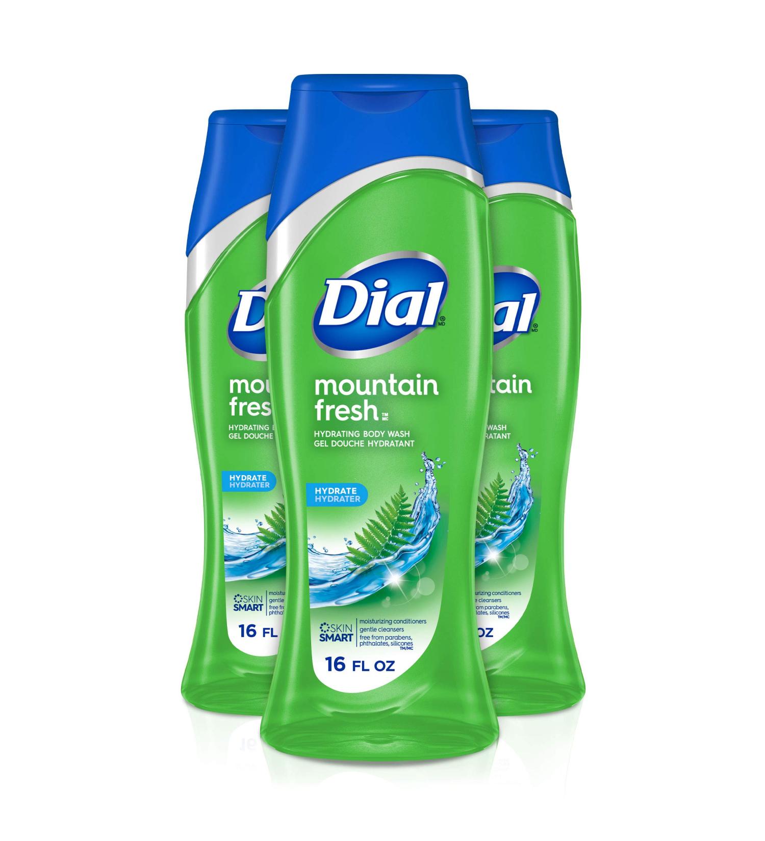 Dial Mountain Fresh Body Wash 16 fl oz - Pack of 3, All Day Freshness - Shop Now! - Buy Online on SooperMarket.com