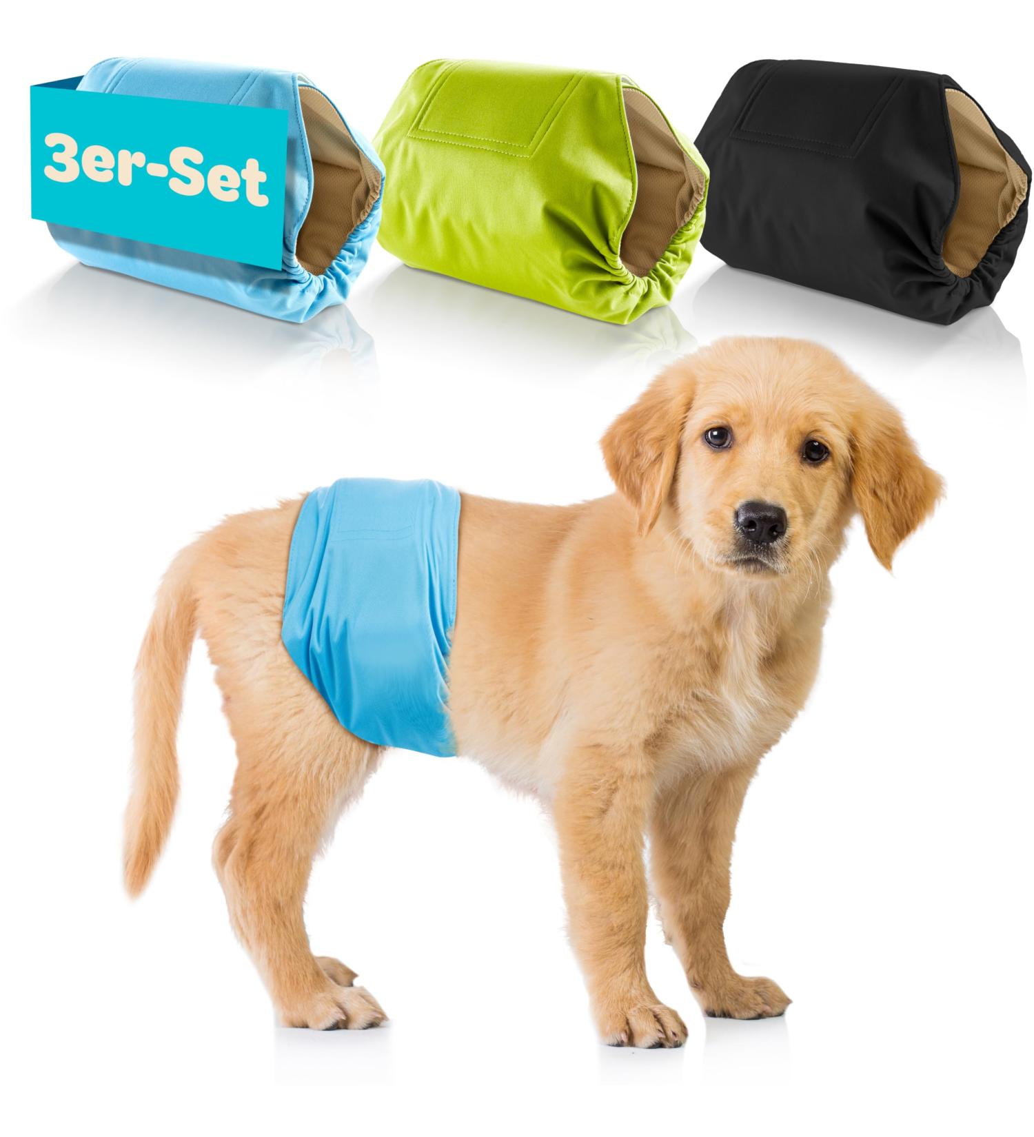 Dog is K nig Male Dog Diapers - Washable Comfort for Incontinence | Eco-Friendly Easy to Clean XS (23-32cm) - 3 Pack in Black Blue Green - Buy Online on SooperMarket.com