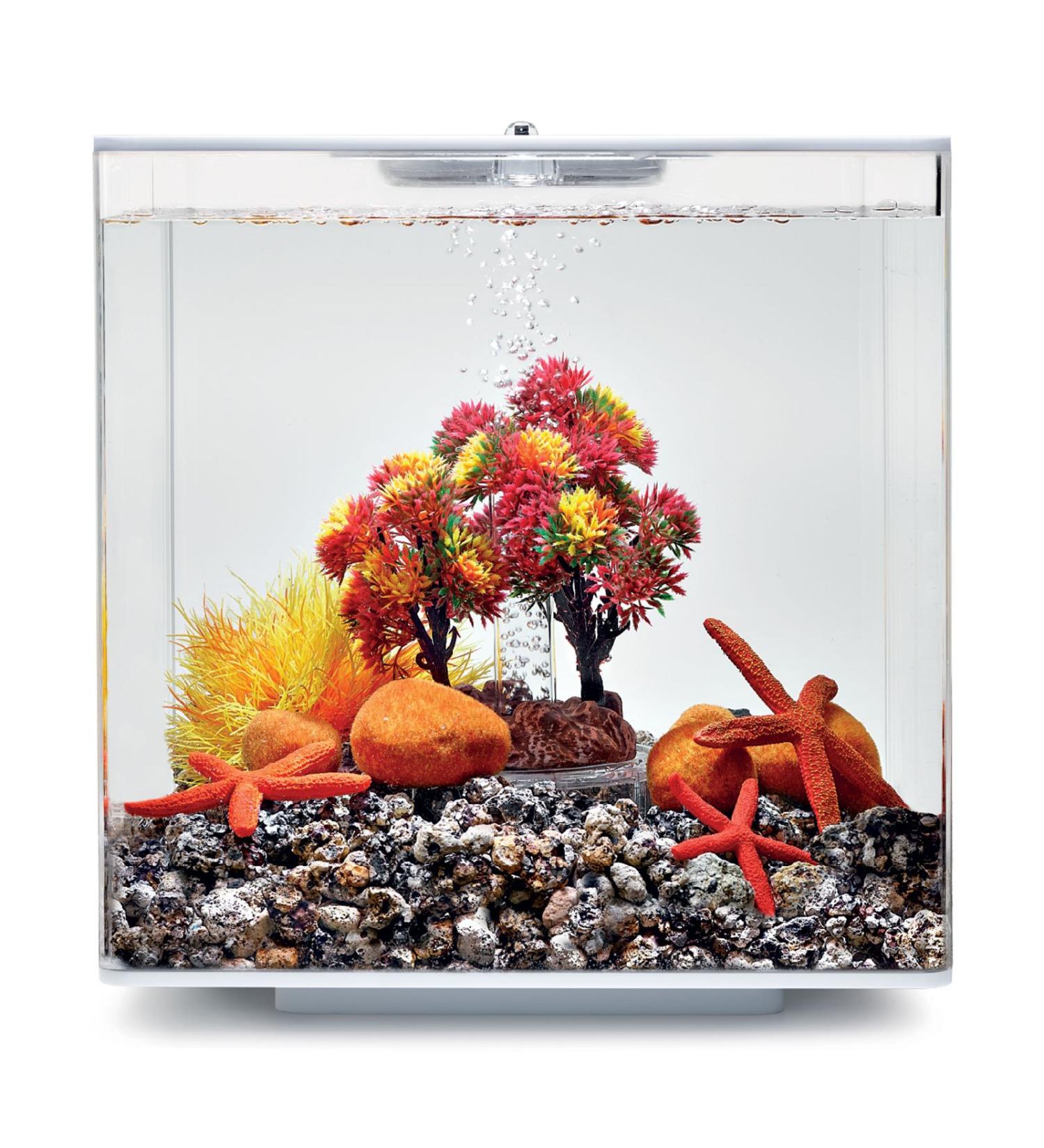 biOrb 55024 Decor Set 15L Autumn - autumnal colorful aquarium decor / suitable for 15 l biOrb aquariums Autumn 15 liters
