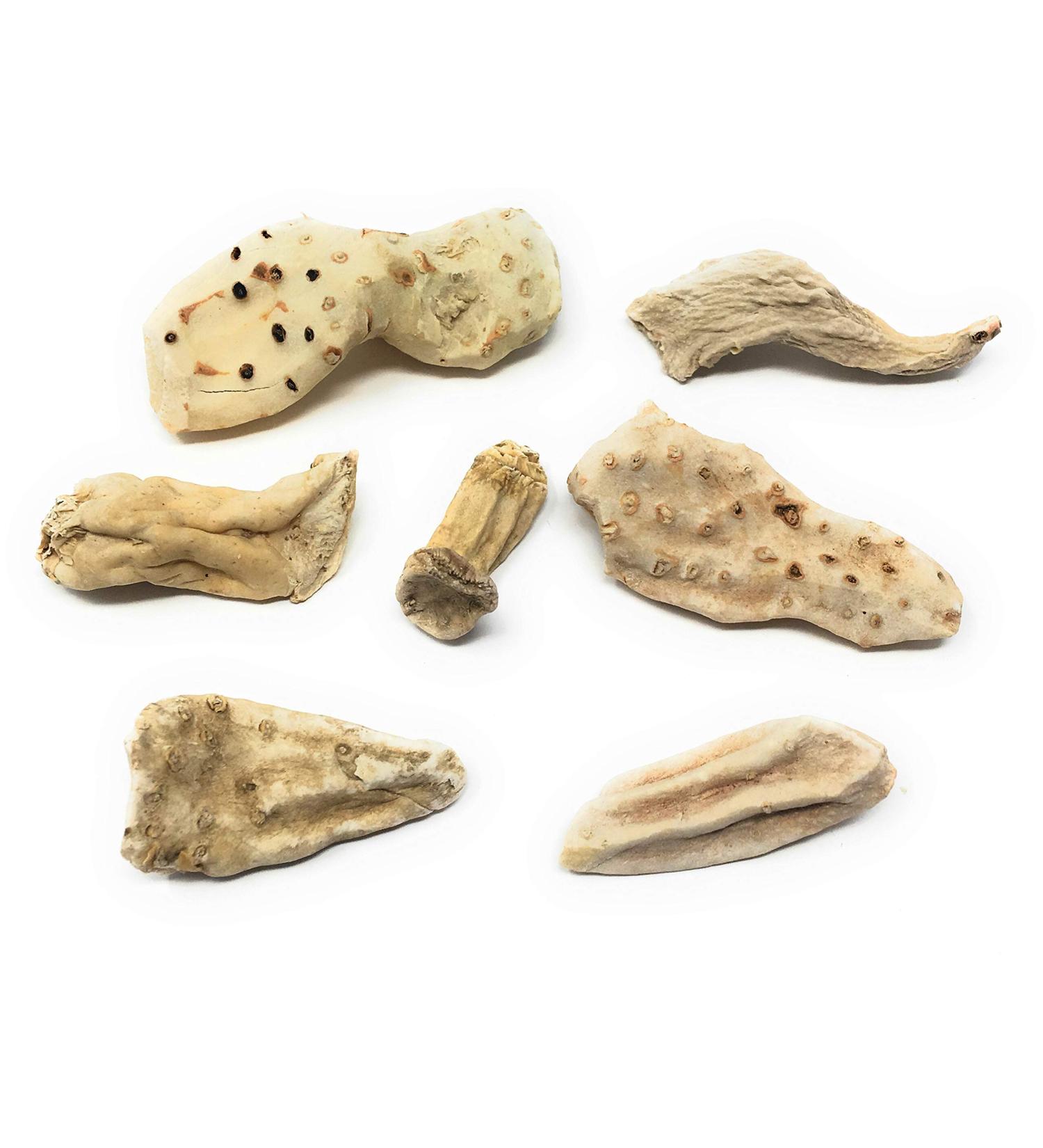 Whole Orris Root - Orris Root Contains Essential Oils Flavonoids and is Used in Perfumes - Net Weight: 1.76oz / 50g - Buy Online on SooperMarket.com