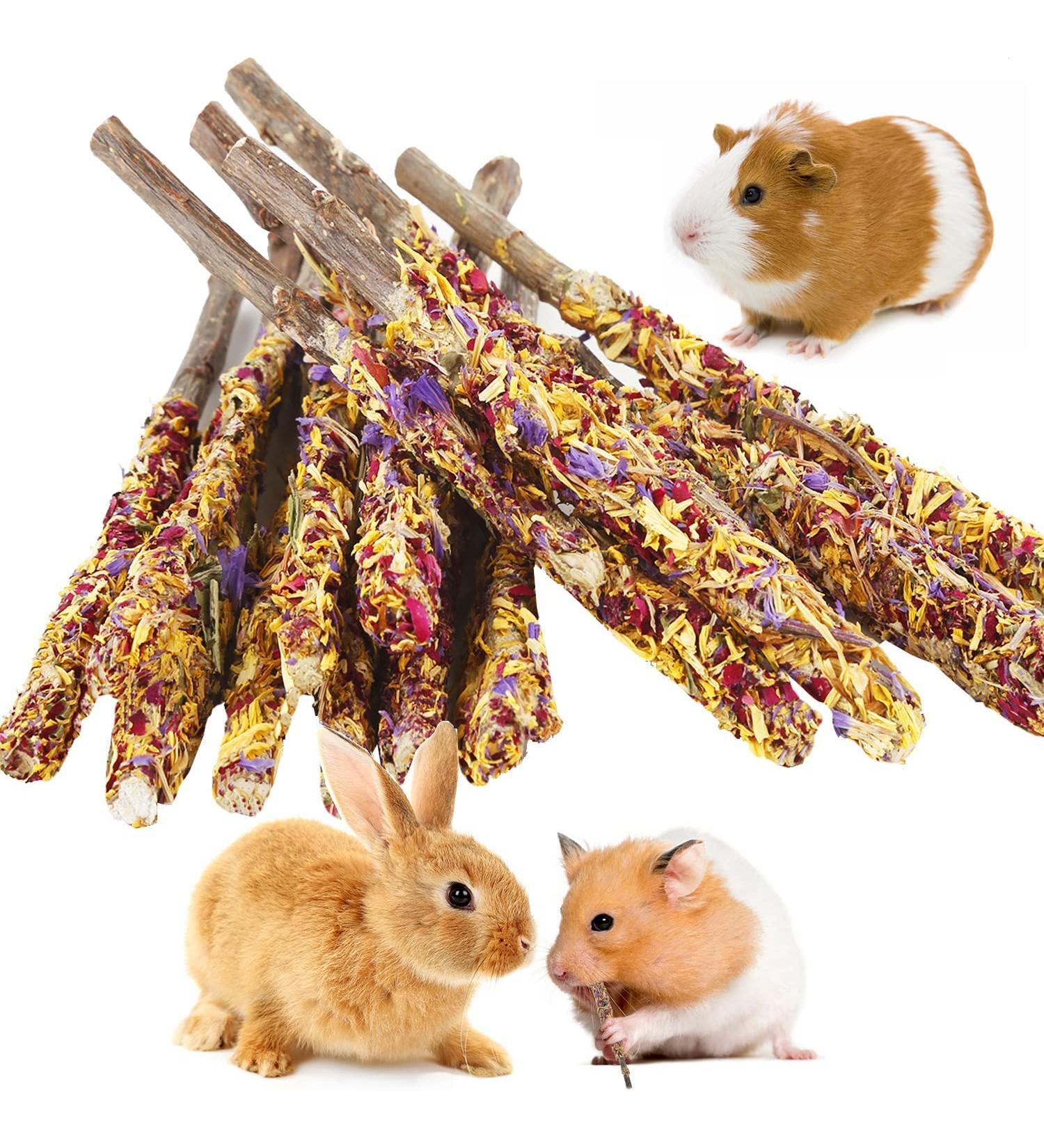 ABIZOO 18-Piece Rabbit Chew Toy Set | Natural Apple Sticks & Dental Care for Rabbits Hamsters & Guinea Pigs - Buy Online on SooperMarket.com