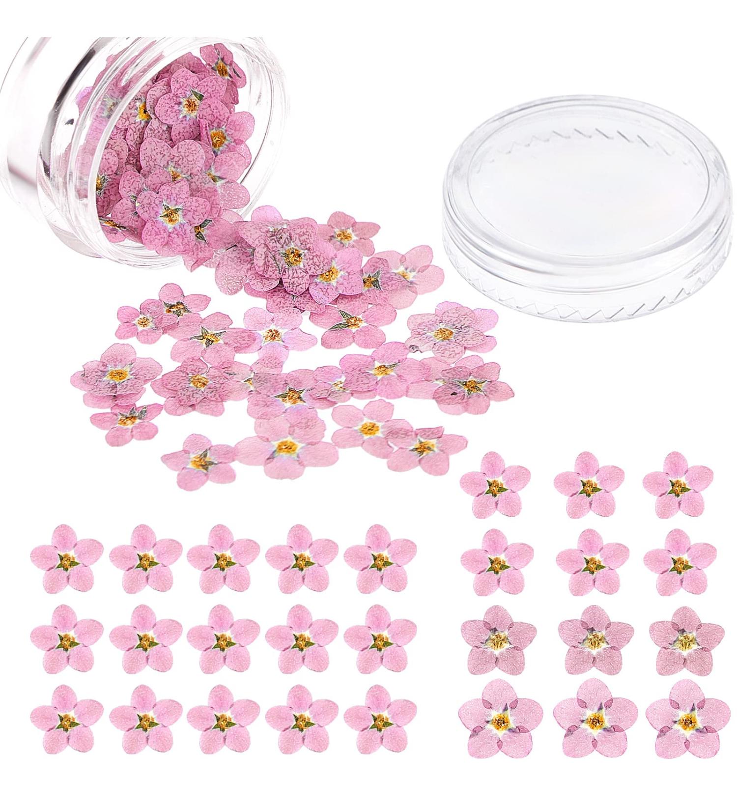 Timtin 100 Pcs Natural Forget Me Dried Flowers for DIY Jewelry, Candle, and Card Making - Real Pressed Flowers for Resin Ornaments and Nail Art Decorations (Pink) - Buy Online on SooperMarket.com