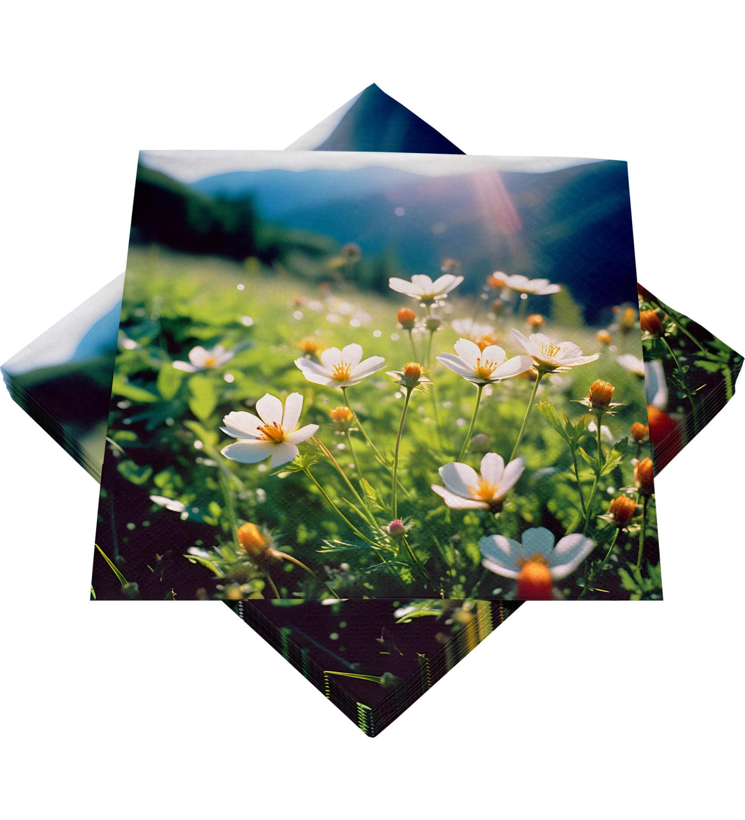 HEKU 100 napkins 3-layer 33x33cm mountain meadow I absorbent and practically packaged I wide selection I ideal for special occasions 33x33cm mountain meadow