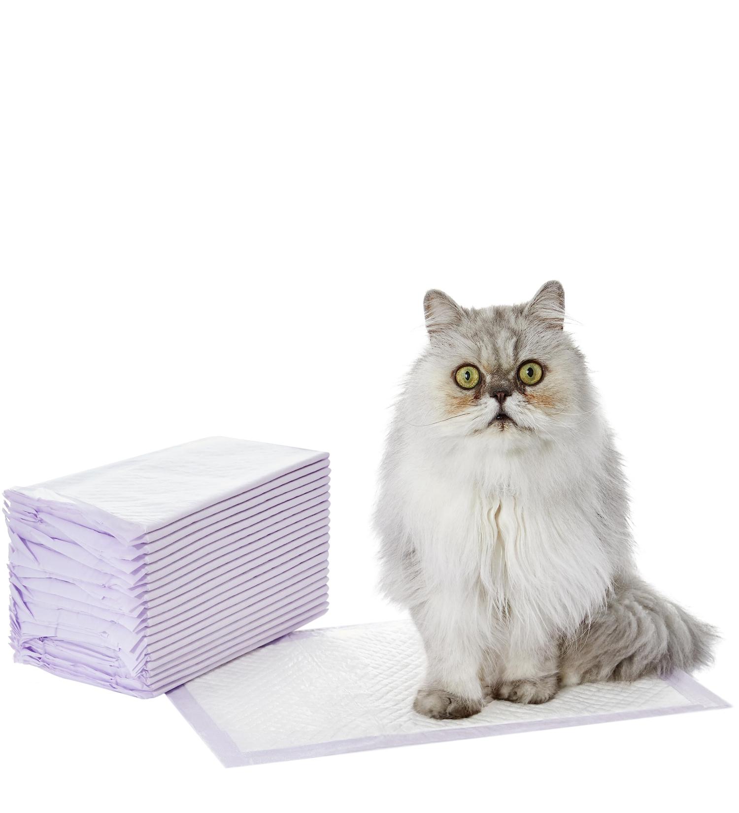 Amazon Basics Cat Litter Pads - 20-Pack Unscented | Purple & White | International Shipping Available - Buy Online on SooperMarket.com