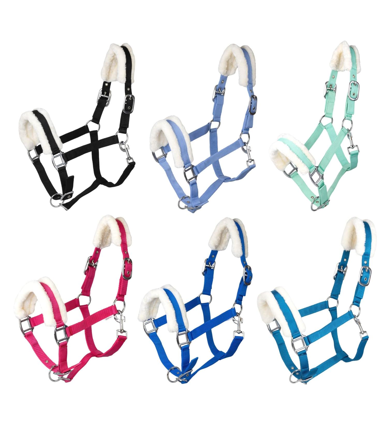 RL24 Halter with Plush Padding - BASICLINE in 6 Colors for Shetty Pony Thoroughbred Warmblood | Turquoise Shetty - Buy Online on SooperMarket.com