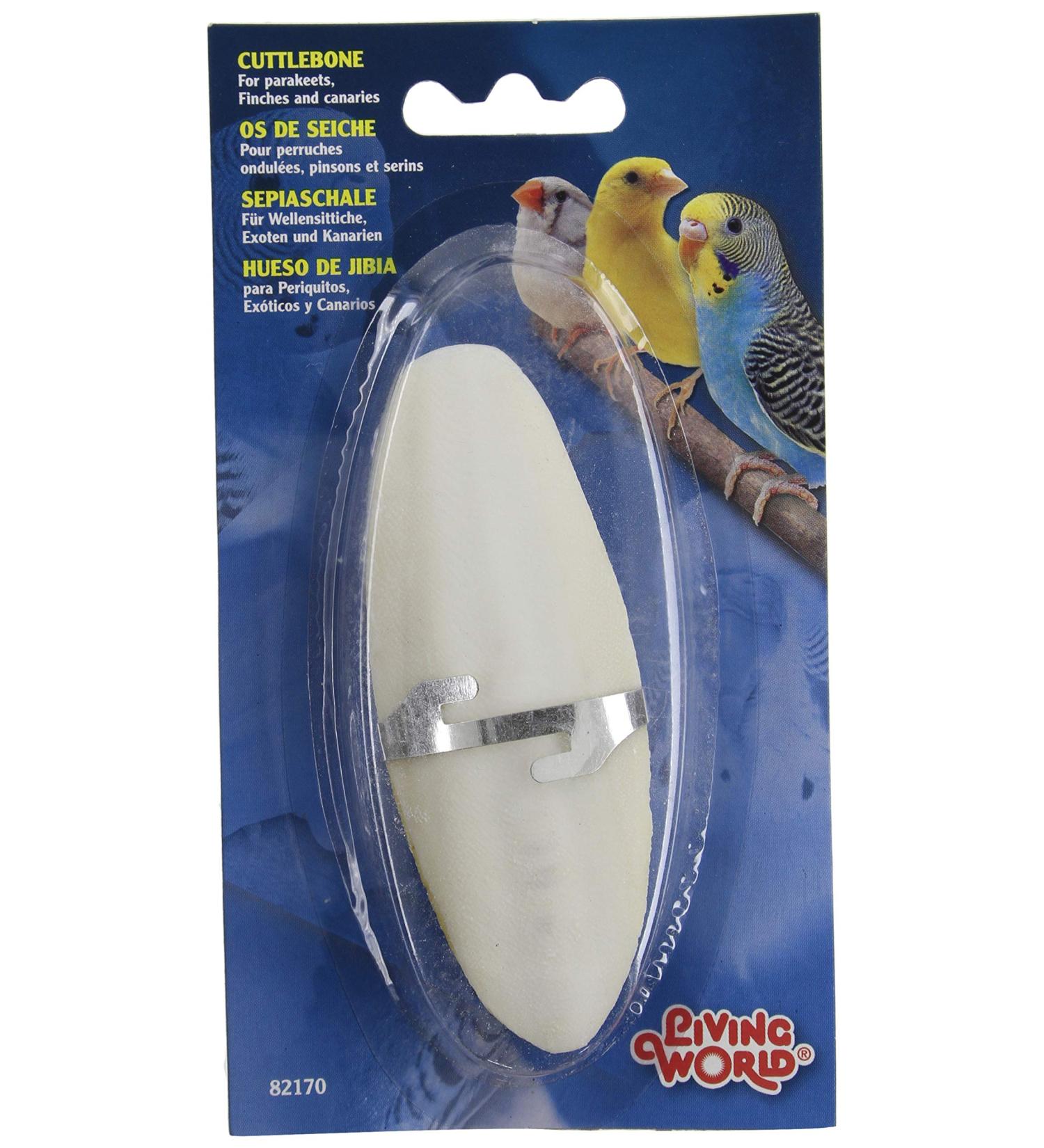 Buy HG Sepia Shell Small - Premium Quality Fast International Shipping - Buy Online on SooperMarket.com