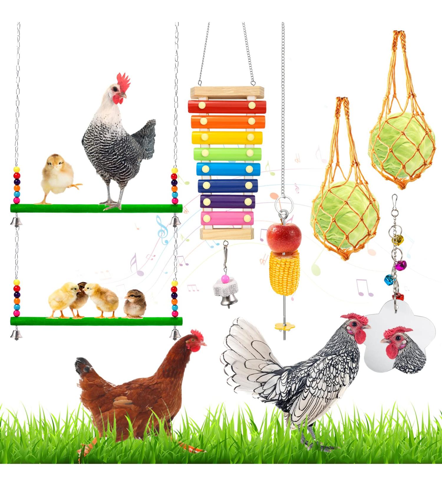 Woiworco Chicken Coop Accessories: 7 Pack Chicken Toys - Xylophone, Swing, Mirror, Pecking, Vegetable Feeder & More - Buy Online on SooperMarket.com