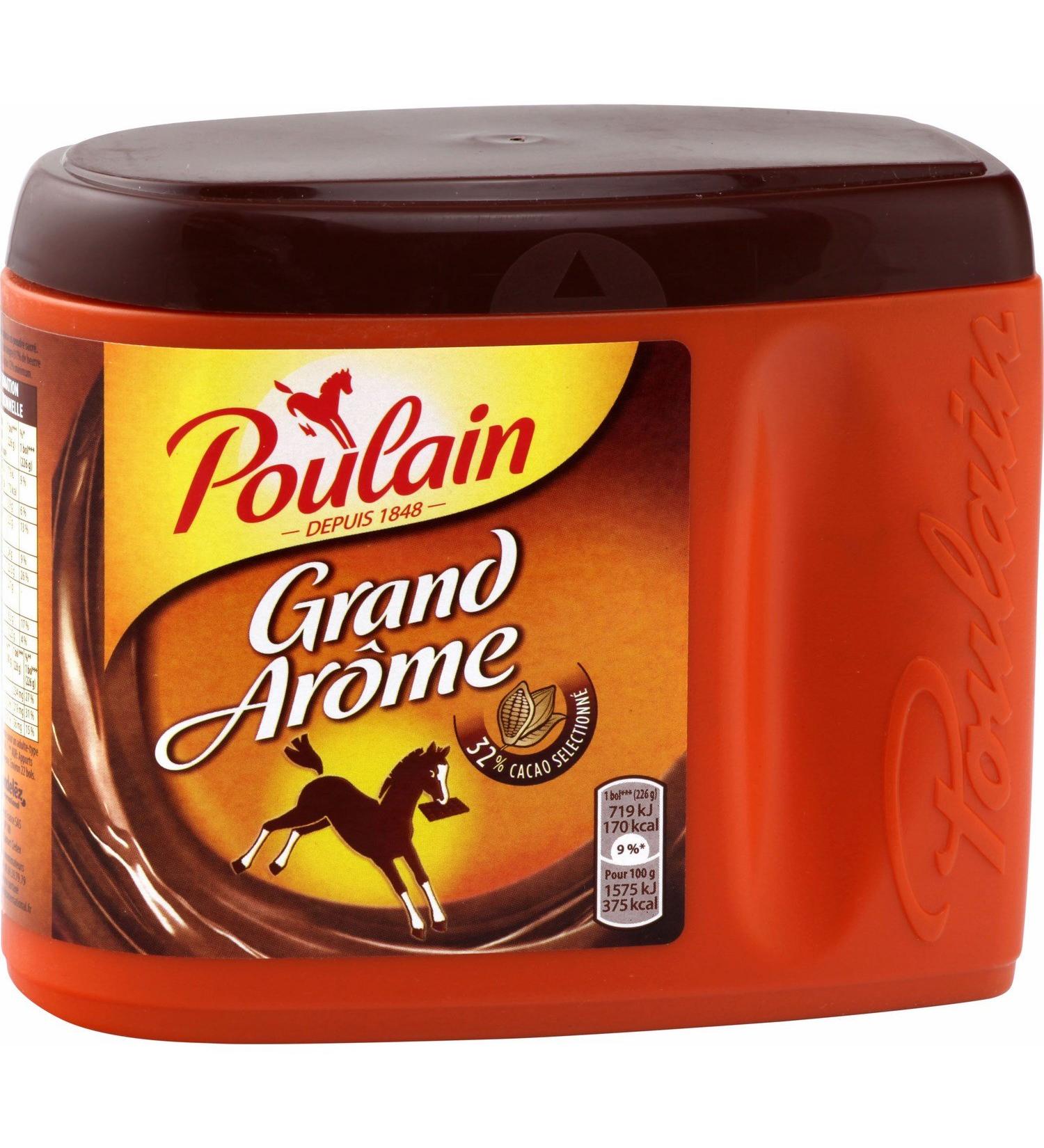 Hot Chocolate Mix Grand Arome by Poulain - 450 grams 15.87 Ounce (Pack of 1)