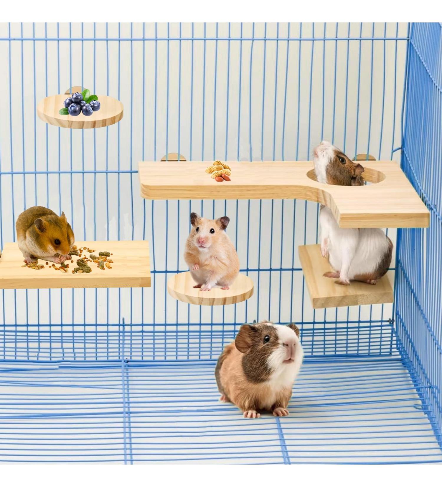 Nizirioo 5-Piece Hamster Accessories Set | Natural Wood Toys & Cage Decor for Hamsters Guinea Pigs Chinchillas & Mice - Buy Online on SooperMarket.com