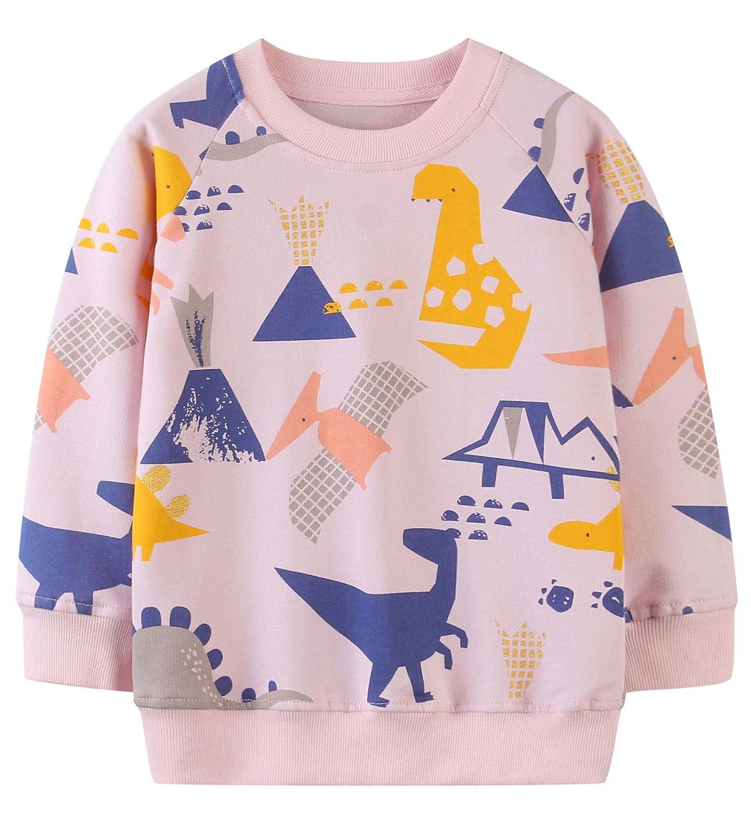 Girls Dinosaur Sweatshirt - Cotton Casual Jumper, Toddler Long Sleeve Pullover | Age 5-6 Years - Buy Online on SooperMarket.com