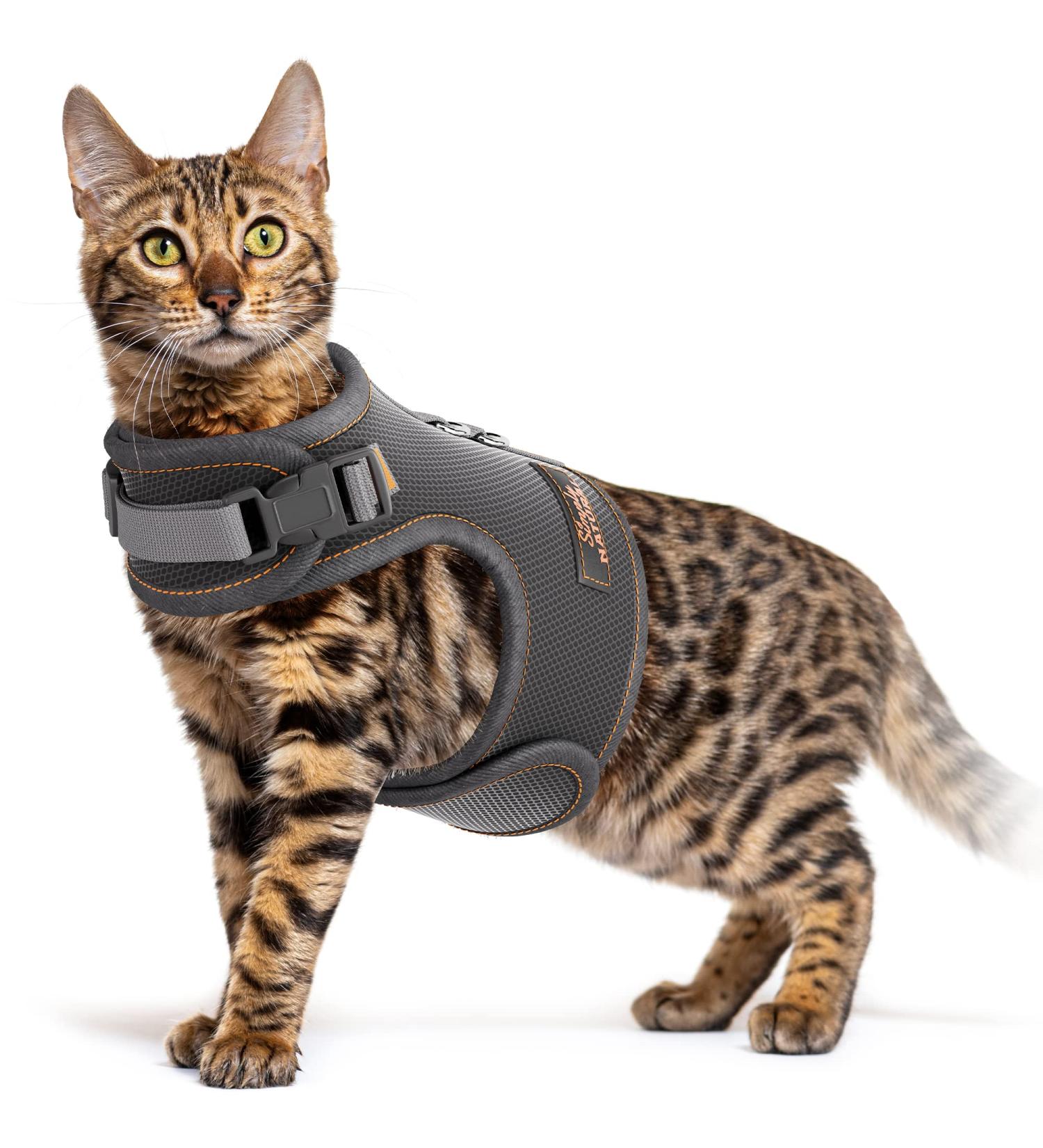 Adjustable Cat Harness and Lead Set - Escape Proof and Safe Design for Kittens - UK Universal Size Cat Leash - Buy Online on SooperMarket.com