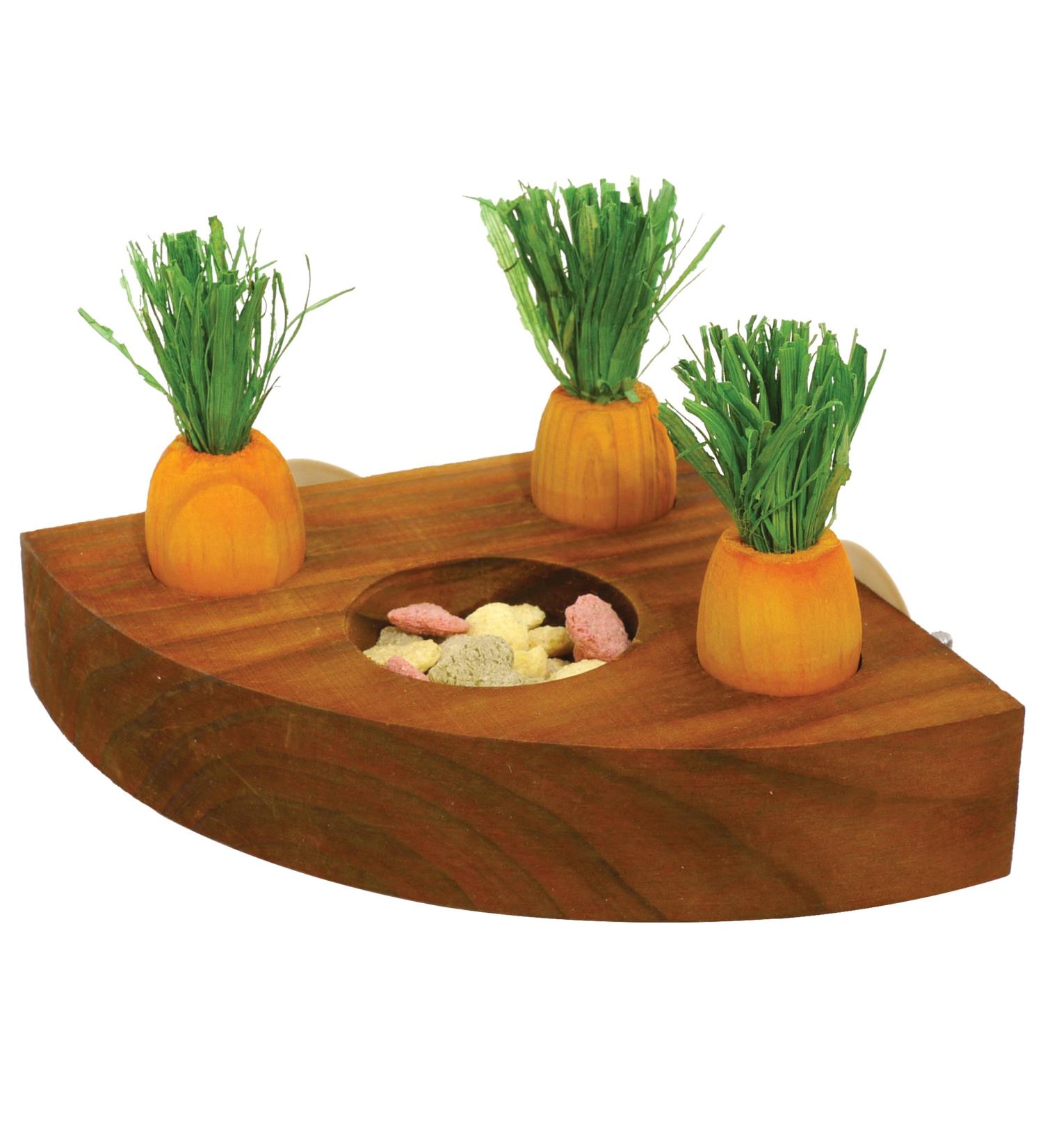 Rosewood 19260 Carrot Toy 'n' Treat Holder for Small Animals - Transparent Single - Buy Online on SooperMarket.com