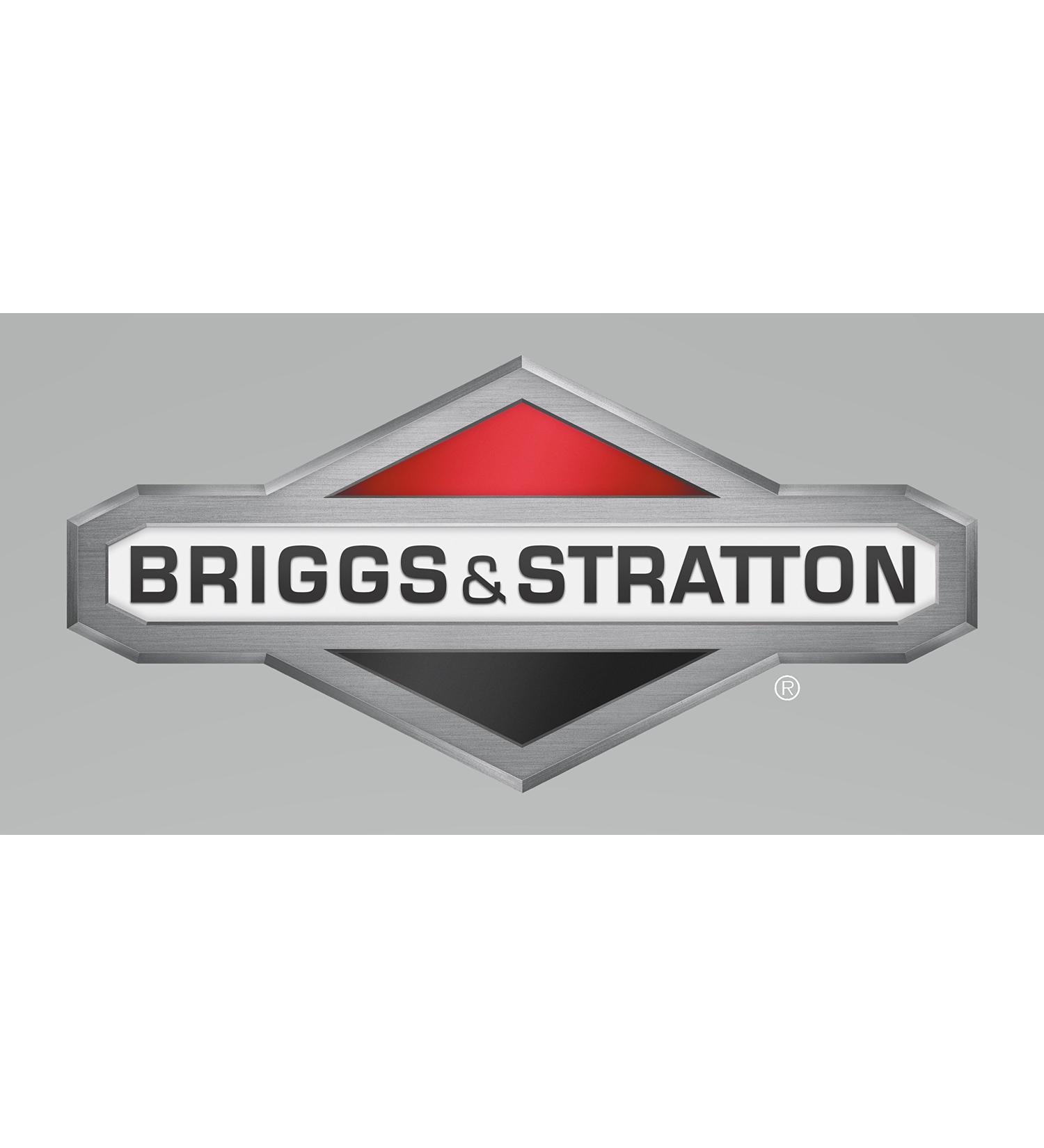 Briggs & Stratton SCREW TRUSS HD PHILL