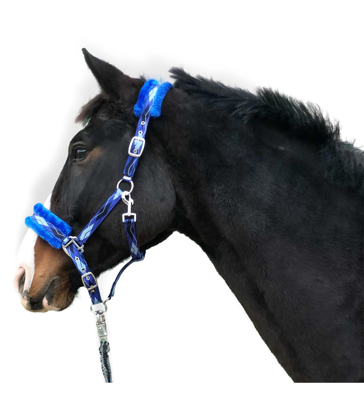 Premium Blue Horse Halter - Fur Lined Available in XFull Pony Cob Warmblood Sizes | Durable & Stylish - Buy Online on SooperMarket.com