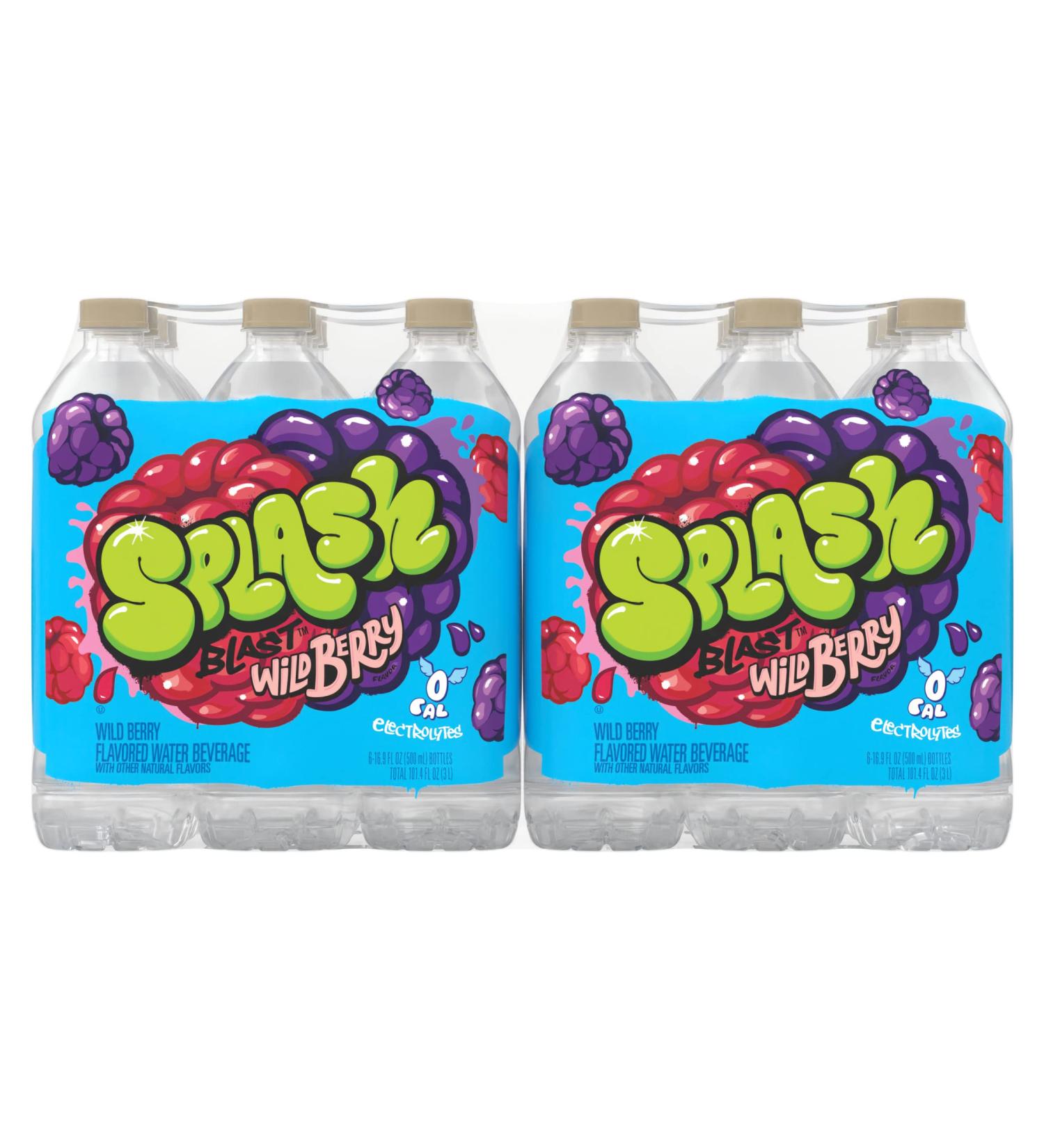 Wild Berry Flavor Splash Blast Flavored Water Beverage - 16.9 fl oz Plastic Bottles (24 Pack) - Buy Online on SooperMarket.com