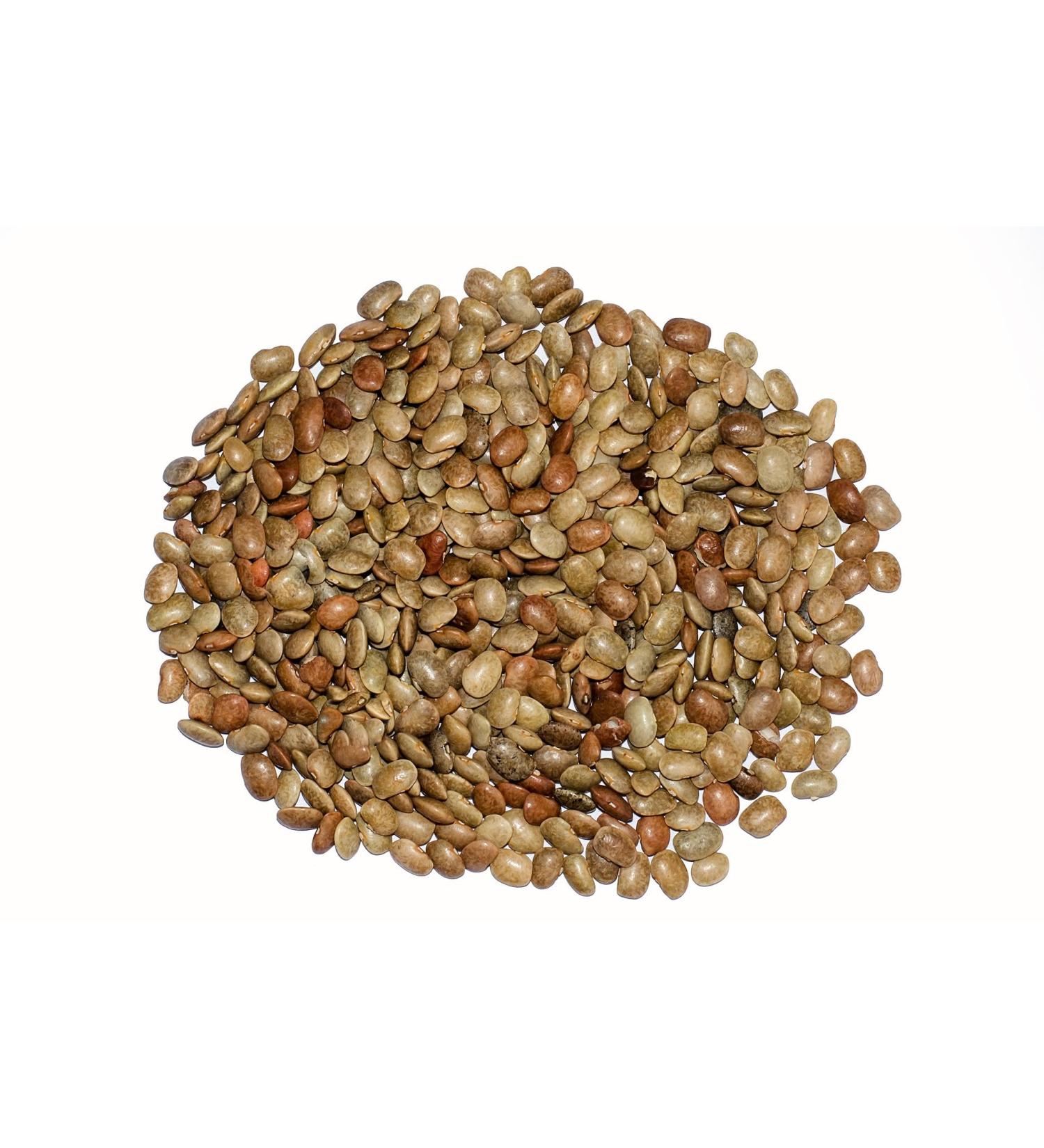 Seelans KOLLU 1KG | Horse gram | Dal | High Protien | Healthy | Indian Origin