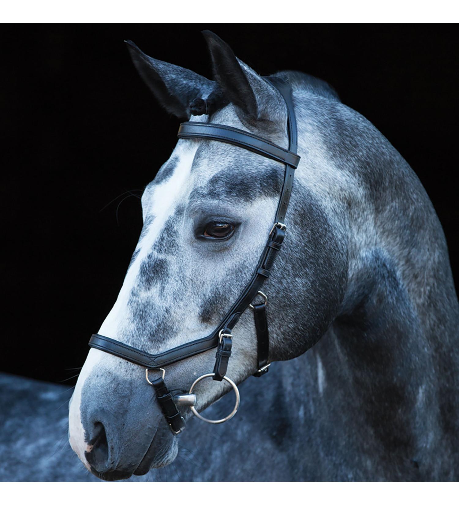 Ireland Rambo Micklem Competition Bridle Black L