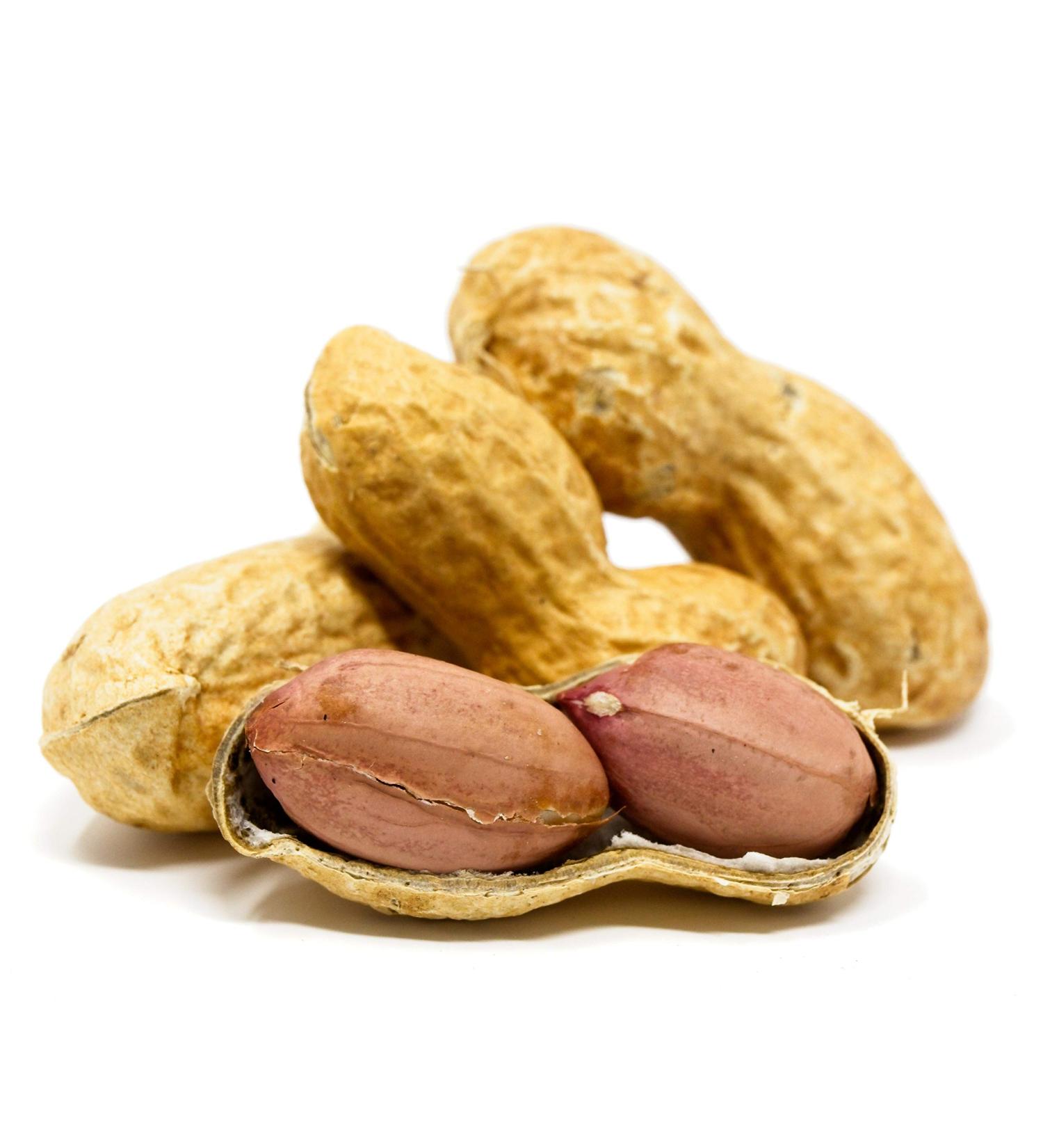 Premium USA Grown Raw Peanuts in Shell for Squirrels - 2.5lb | Unsalted & Jumbo | Boiled Virginia Peanuts | Pack of 1 - Buy Online on SooperMarket.com