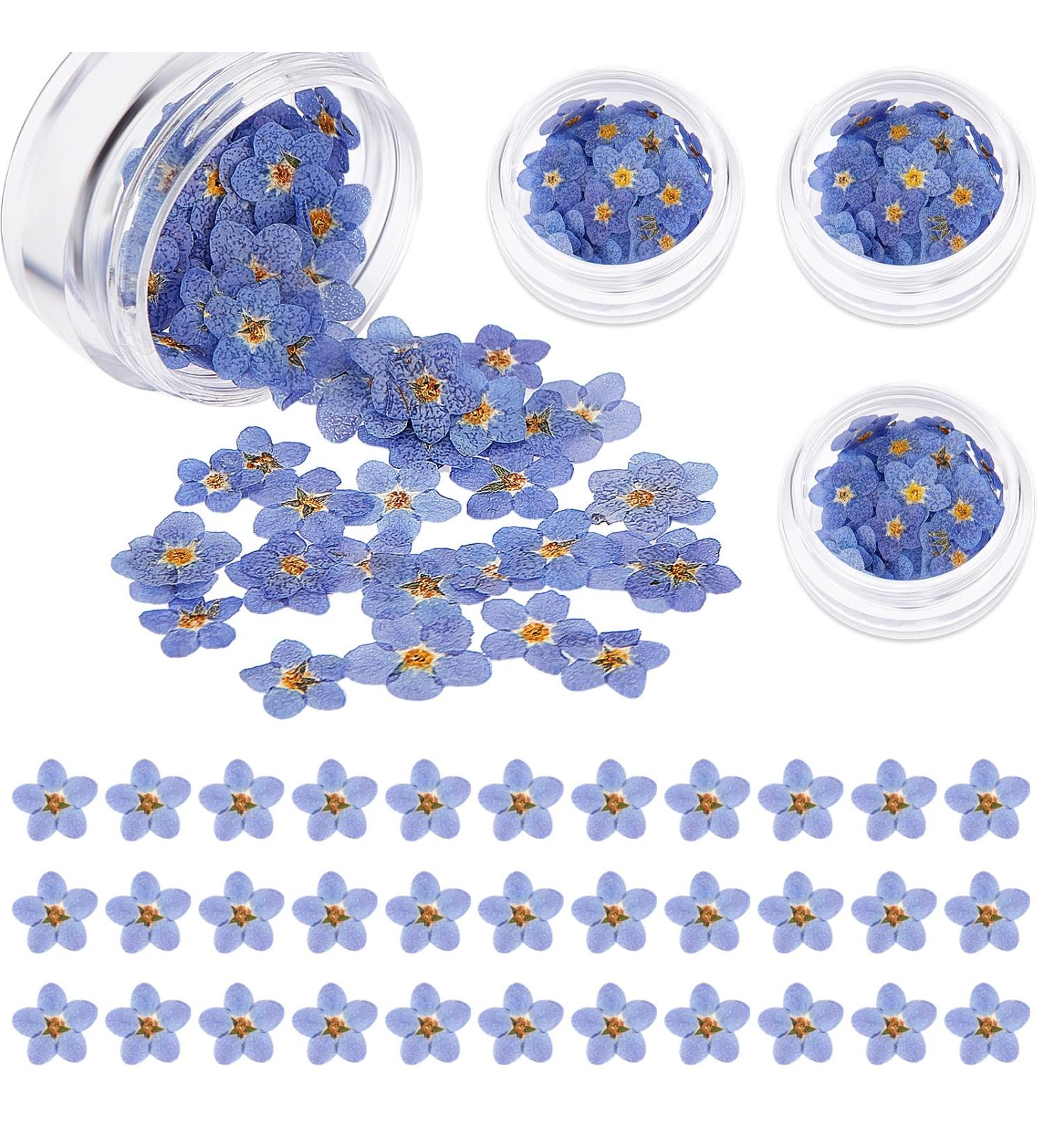 100 Pcs Natural Forget-Me-Not Dried Flowers for DIY Jewelry, Candle, Card Making - Real Pressed Flowers for Resin Ornaments & Nail Art Decorations - Buy Online on SooperMarket.com