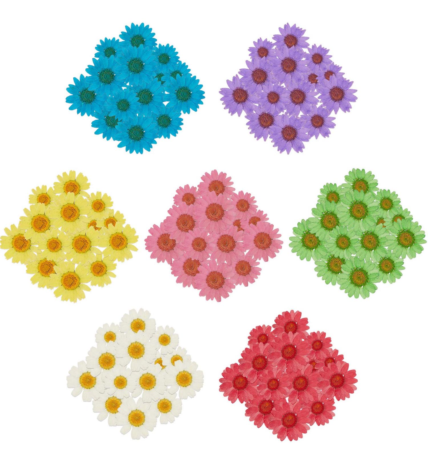 84 Pieces Real Dried Pressed Flowers - Natural Daisy Variety for DIY Crafts & Decorations - 7 Colors - Resin Casting, Jewelry, Candle, Soap Making Supplies - Buy Online on SooperMarket.com